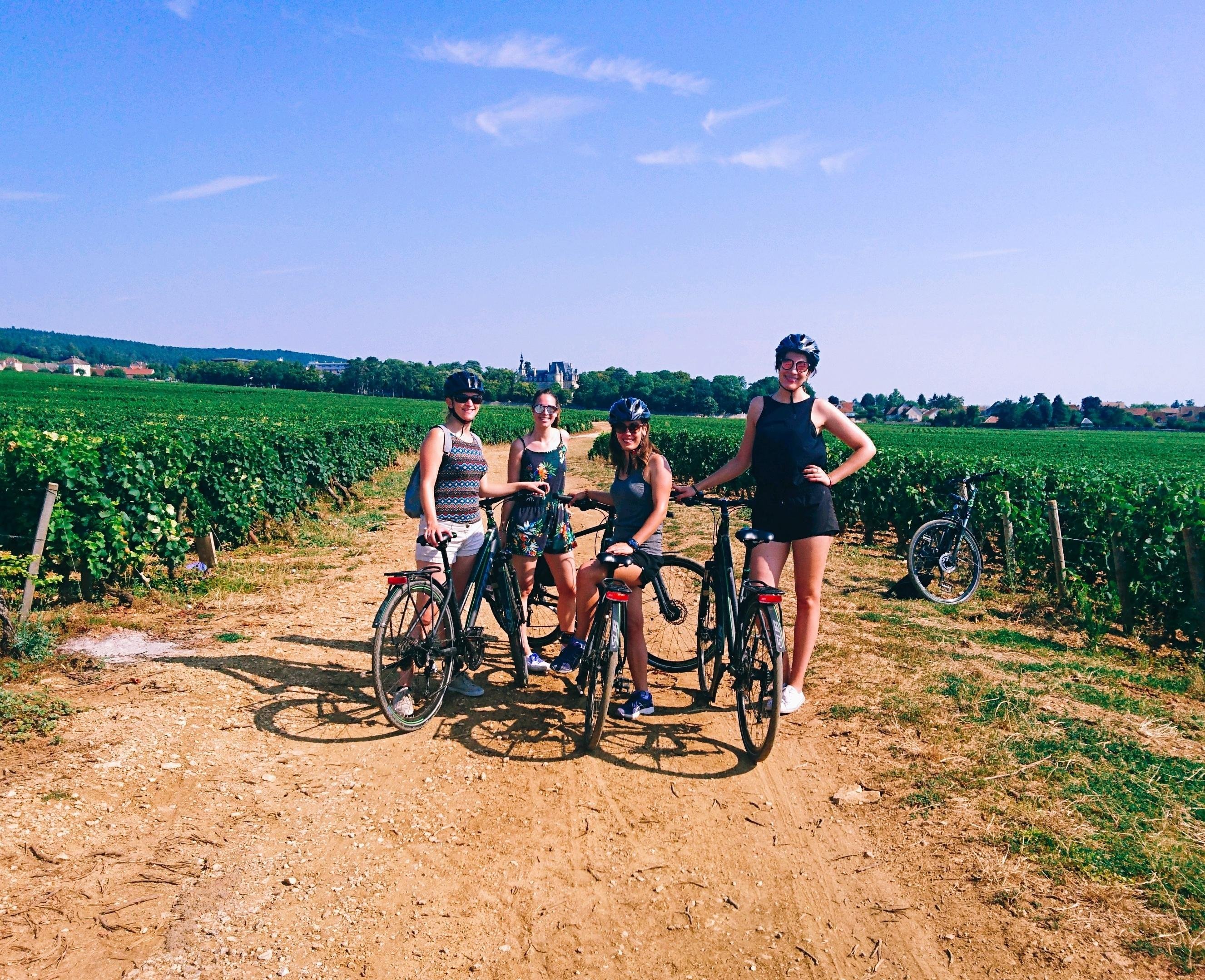 Burgundy Vineyard Cycling Tour with Wine Tasting