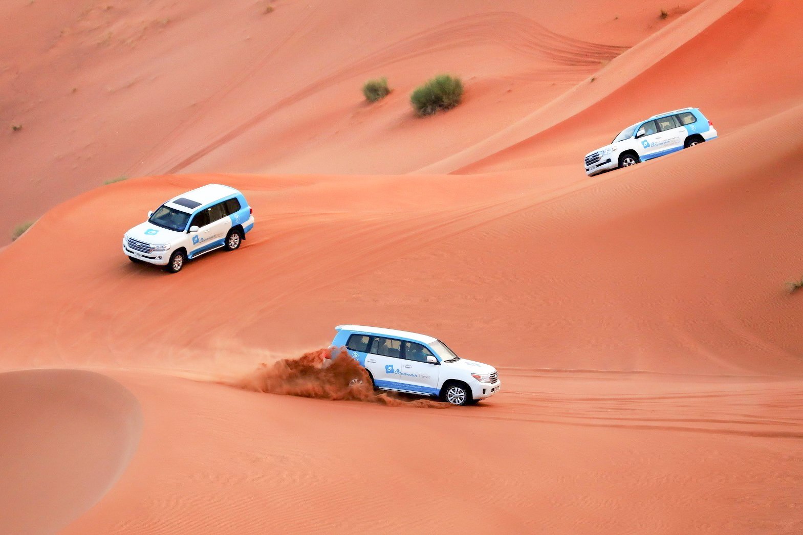 Abu Dhabi Morning Desert Safari: Dune Bashing, Sandboarding & Camel Ride