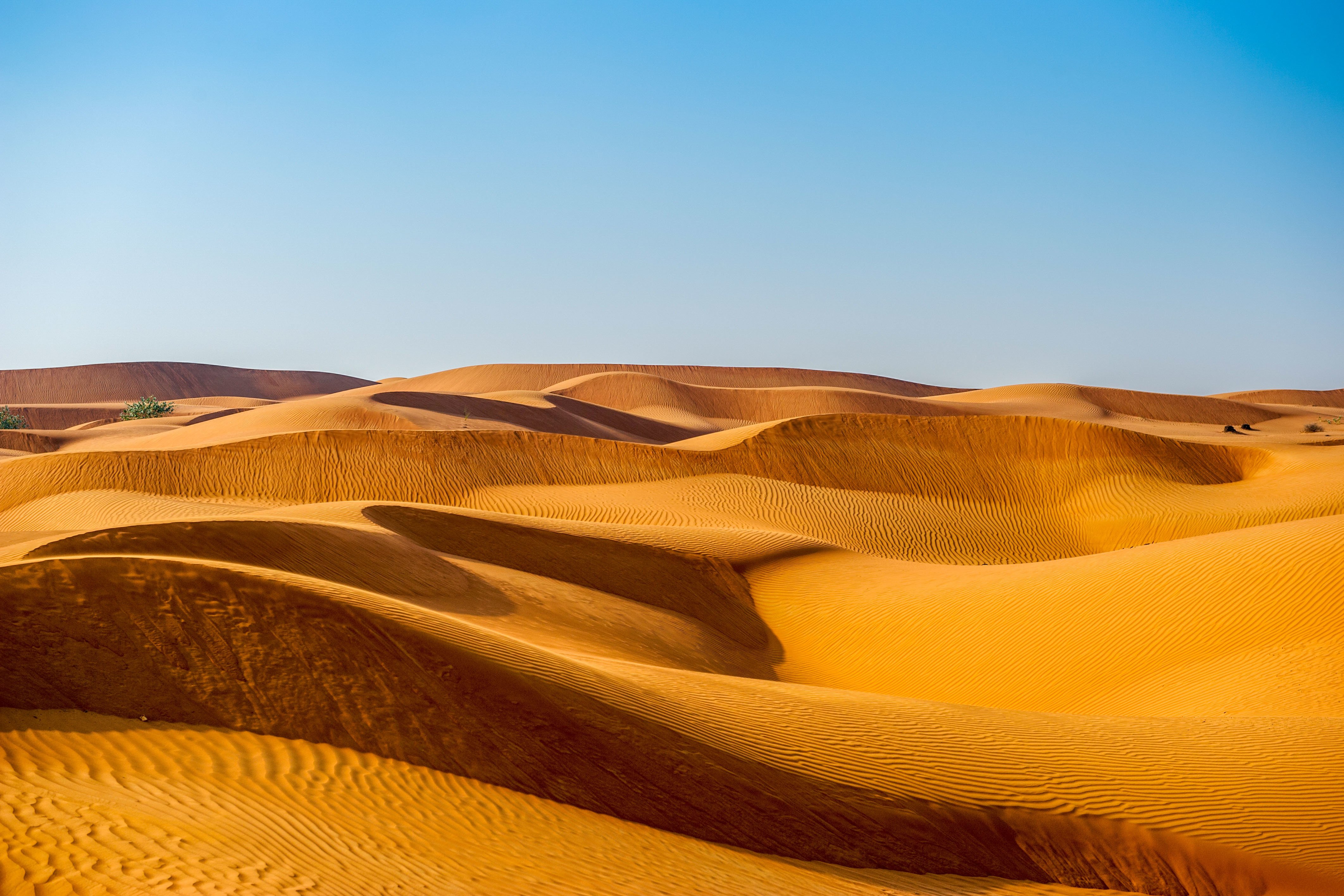 Abu Dhabi Desert Safari with Quad Biking & Traditional Camp Evening
