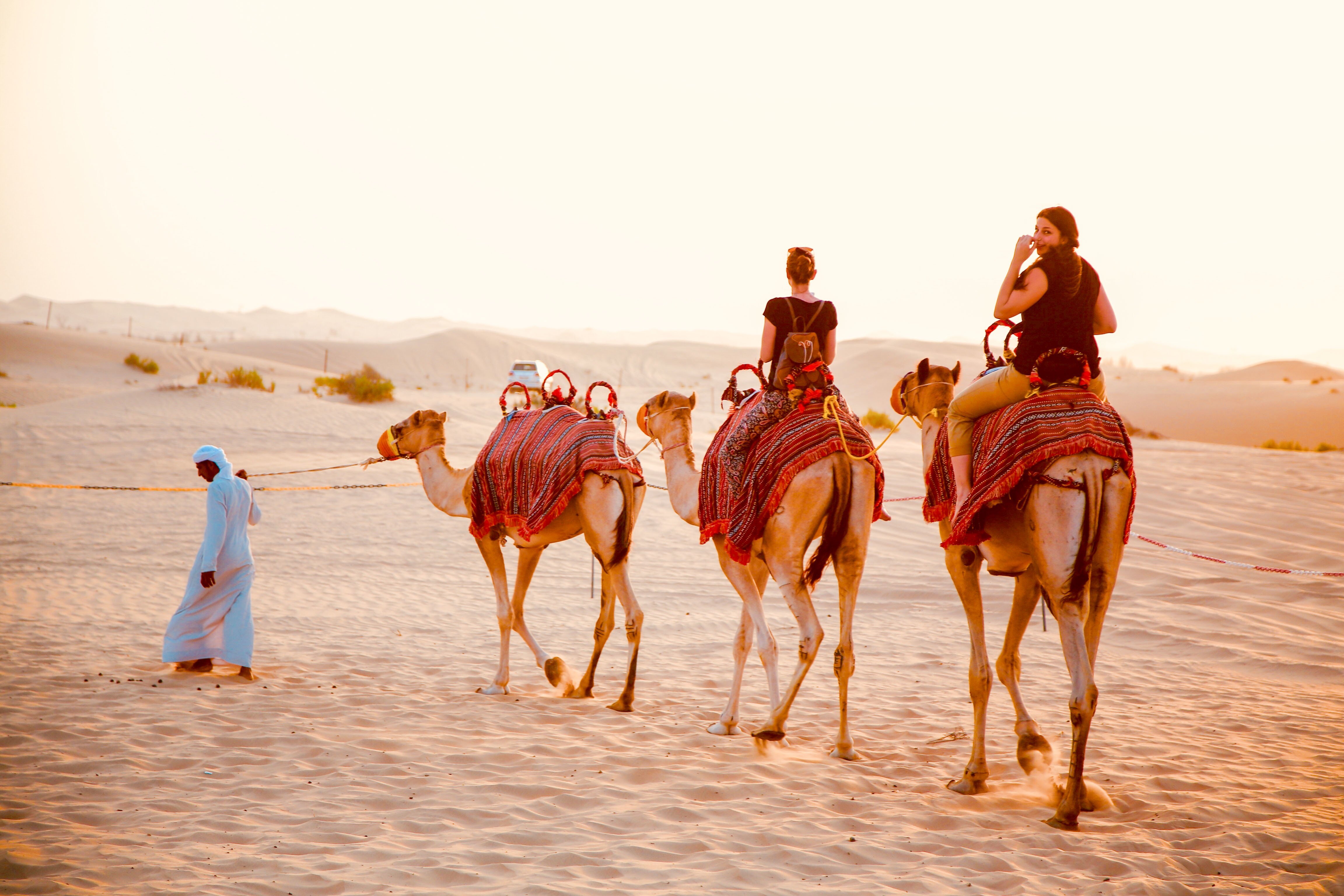 Abu Dhabi Desert Safari with Quad Biking & Traditional Camp Evening