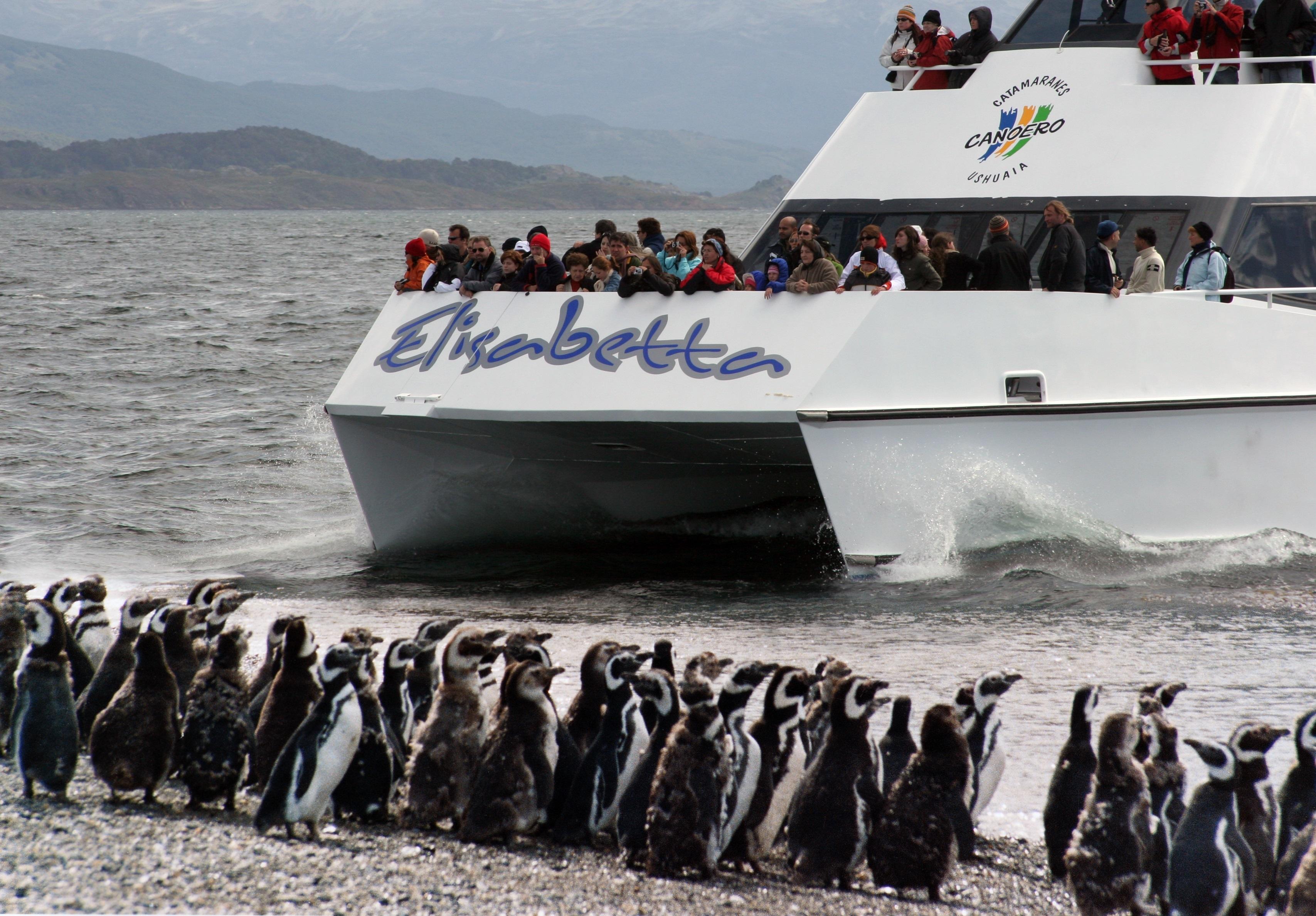 Beagle Channel Catamaran with Penguin Colony Visit