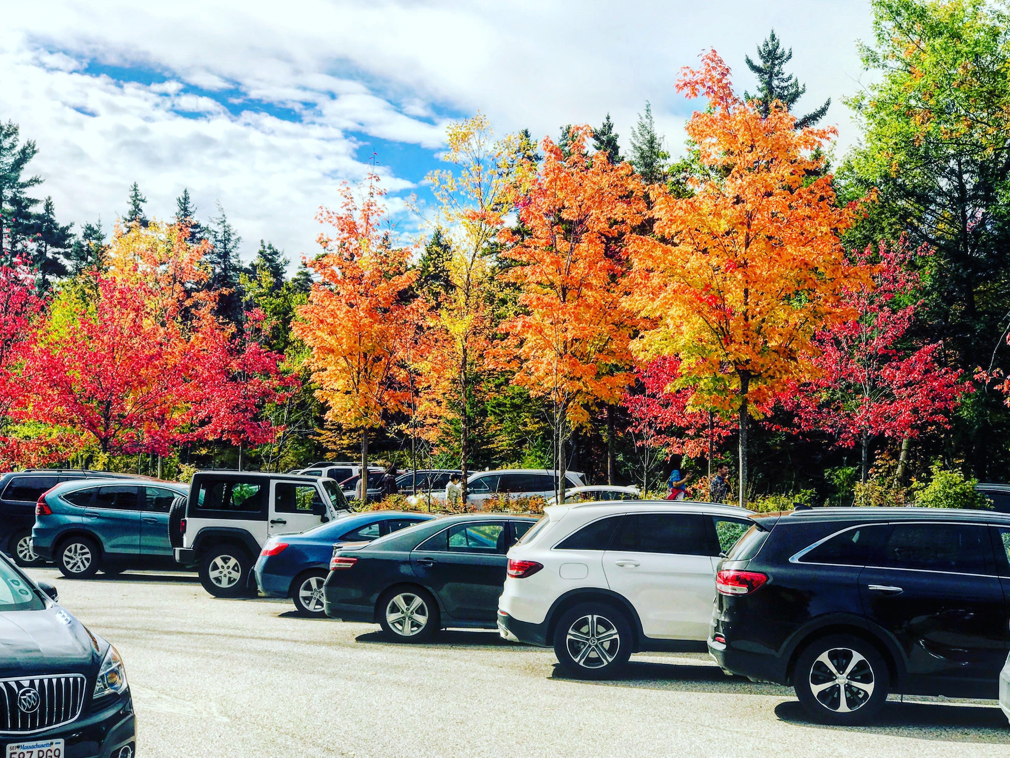 White Mountains Fall Foliage Adventure