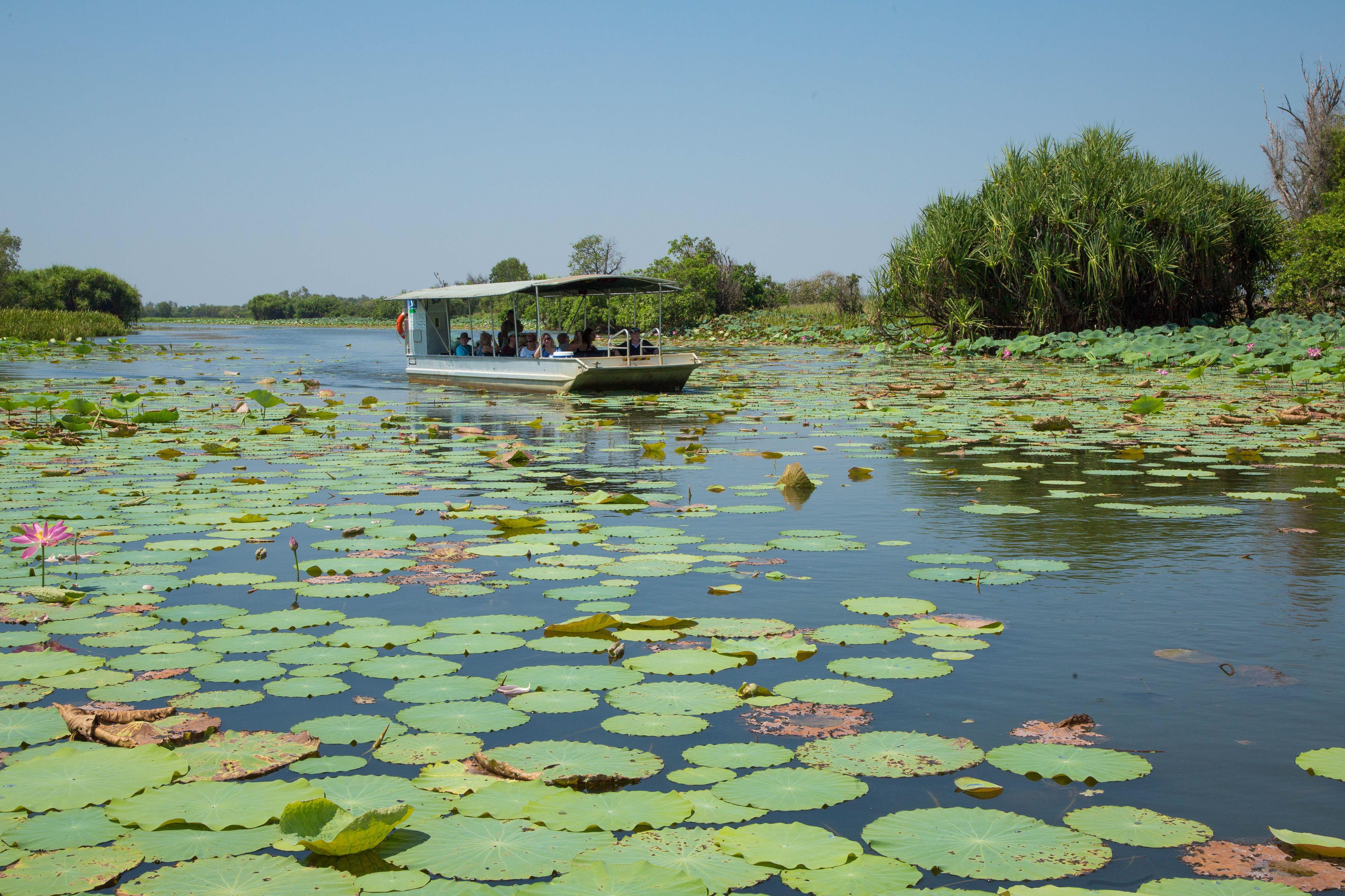 Mary River Wetlands Wildlife Cruise with Lunch