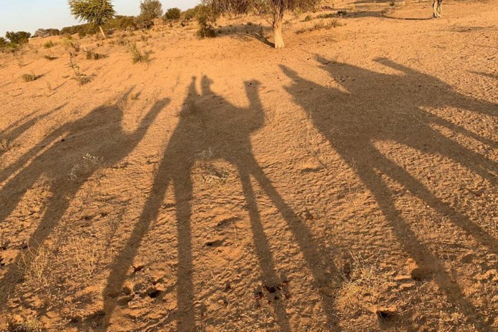 Jodhpur Overnight Desert Escape & Camel Safari