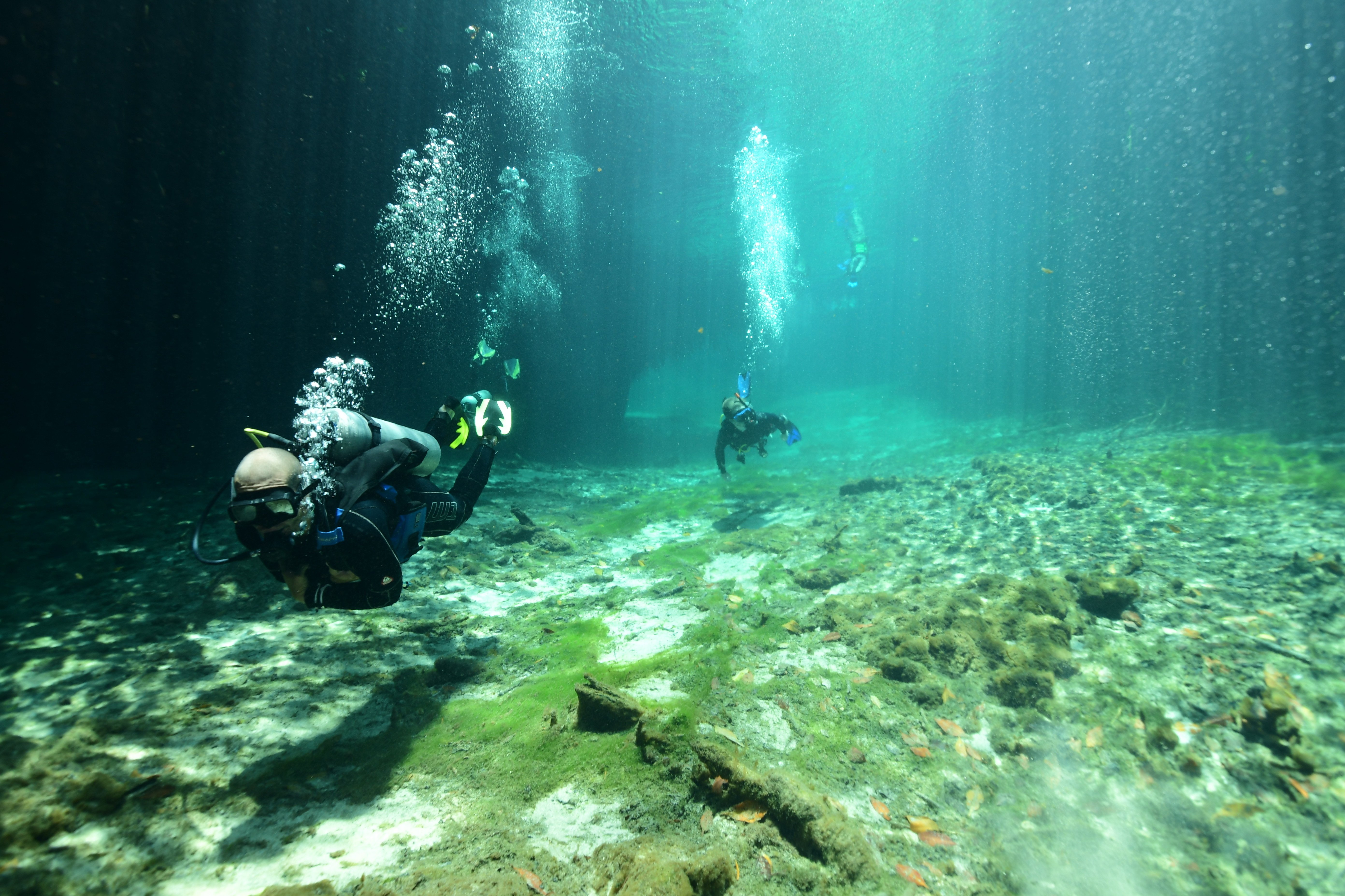 Cenote Scuba Discovery for First-Time Divers