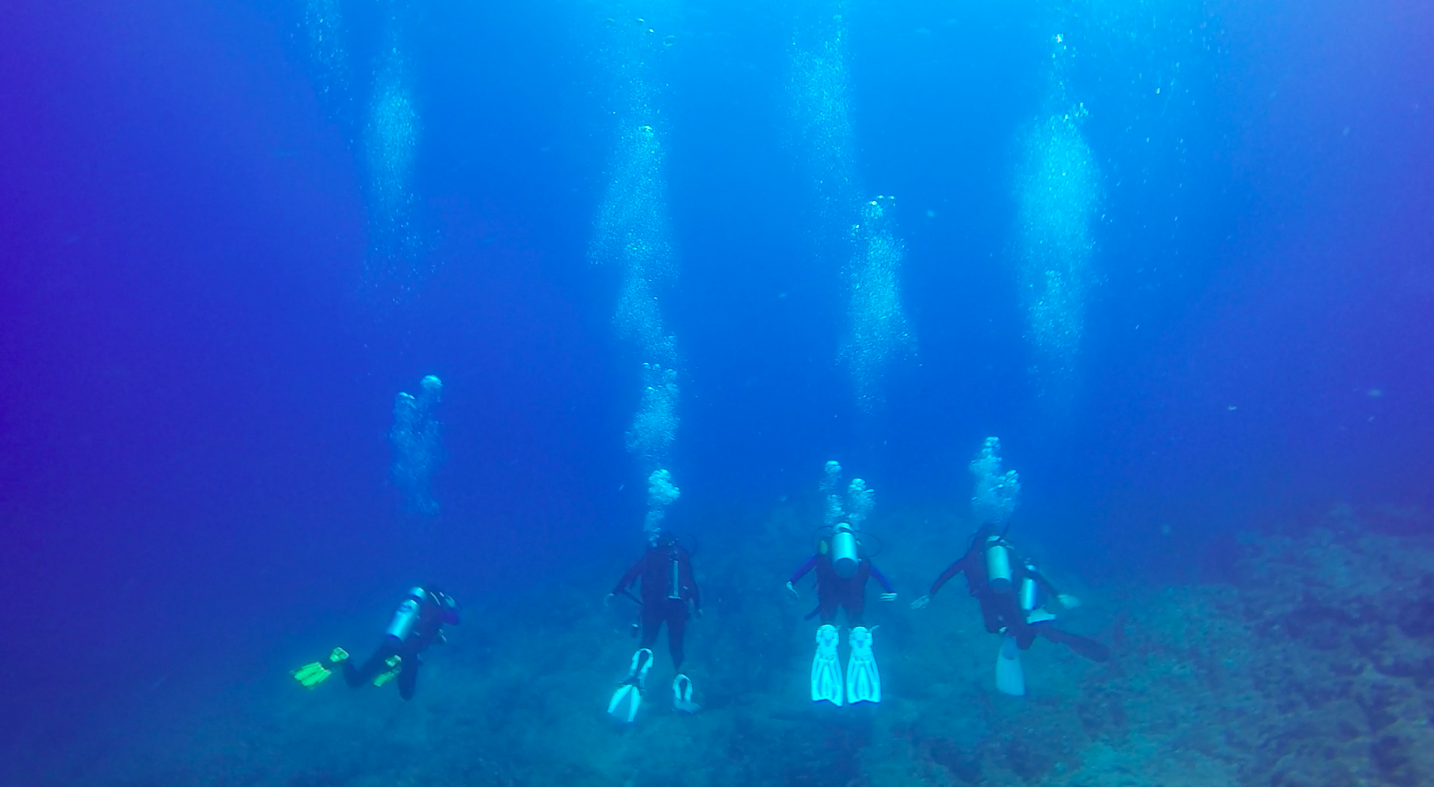 Cabo San Lucas Beginner Scuba Diving Experience
