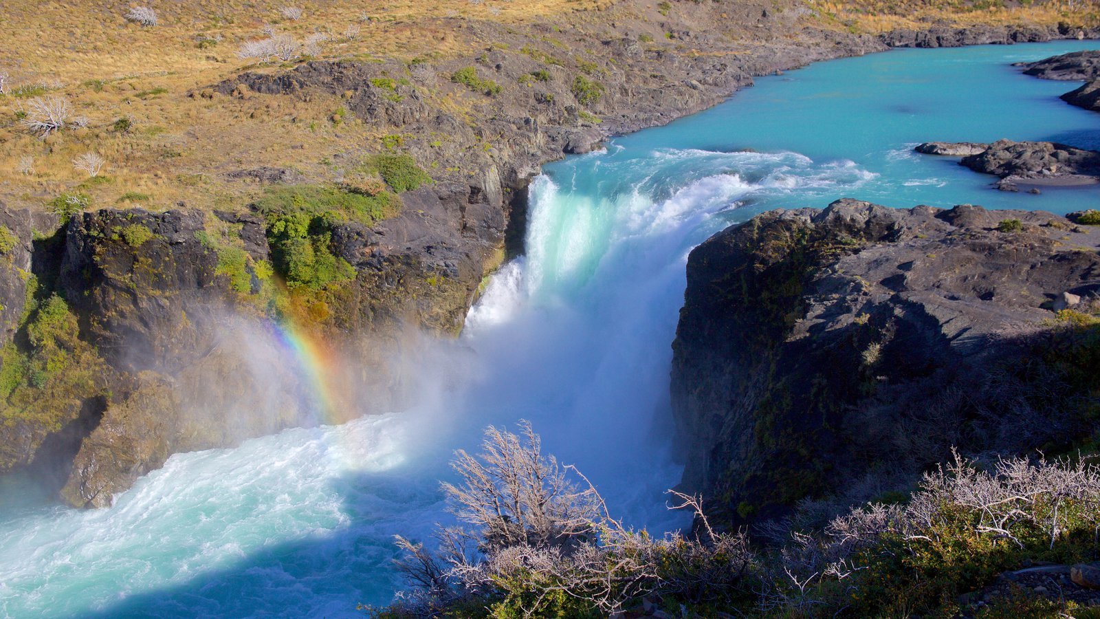 Full-Day Torres del Paine Expedition from El Calafate
