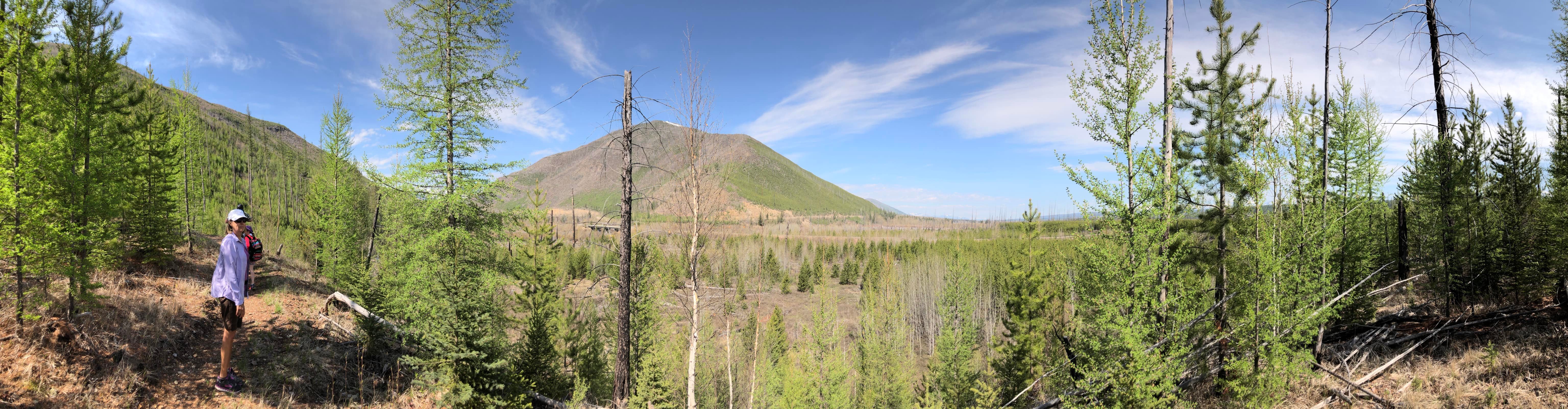 Glacier National Park Morning Nature Walk
