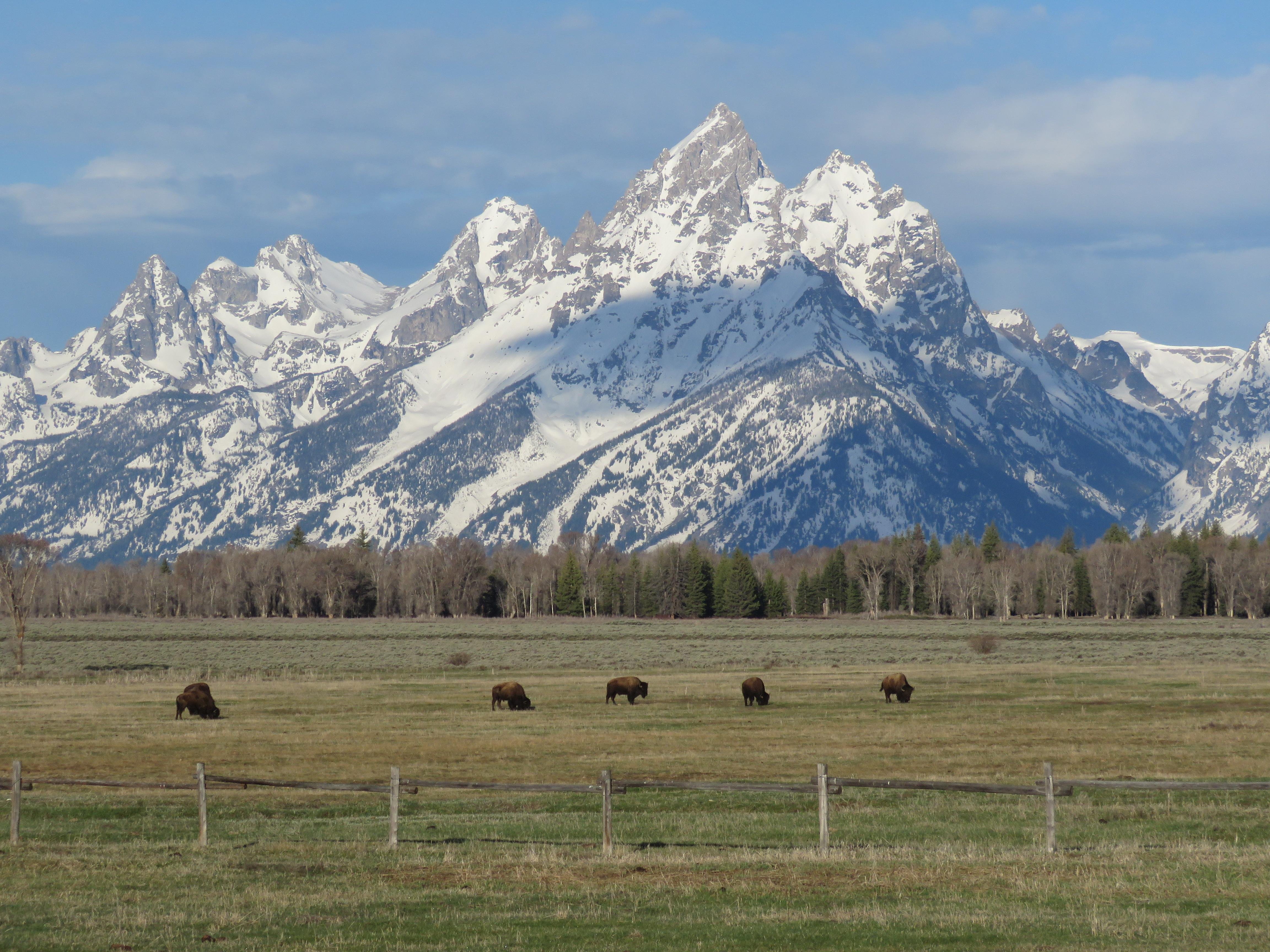 Grand Teton Full-Day Adventure with Boat Cruise