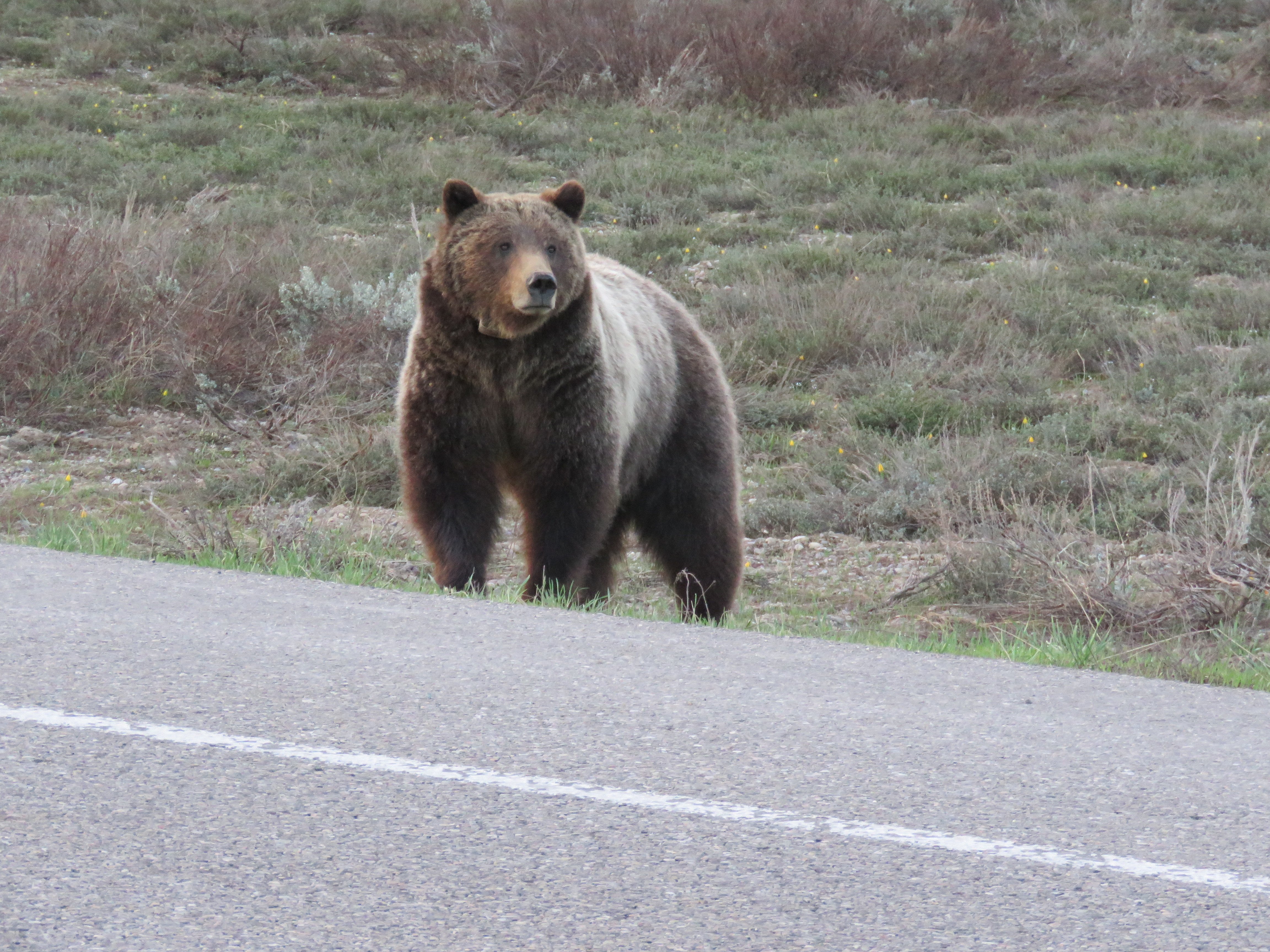 Grand Teton Full-Day Adventure with Boat Cruise