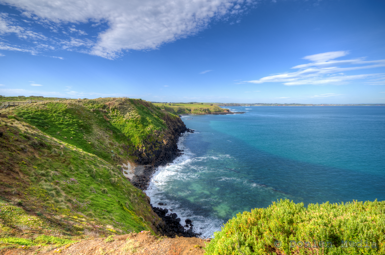 Phillip Island Penguin Parade & Koala Wildlife Tour