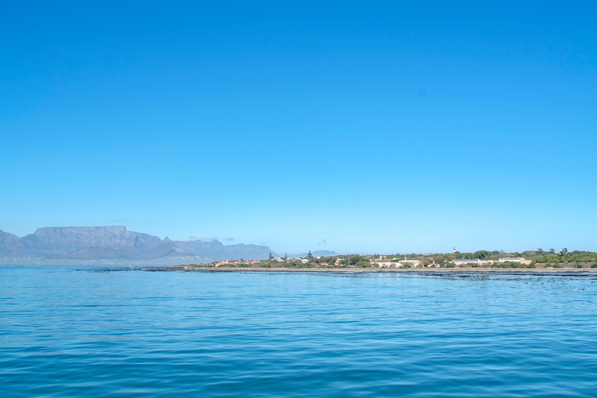 Cape Town: Boulders Beach Penguin Colony Half-Day Tour