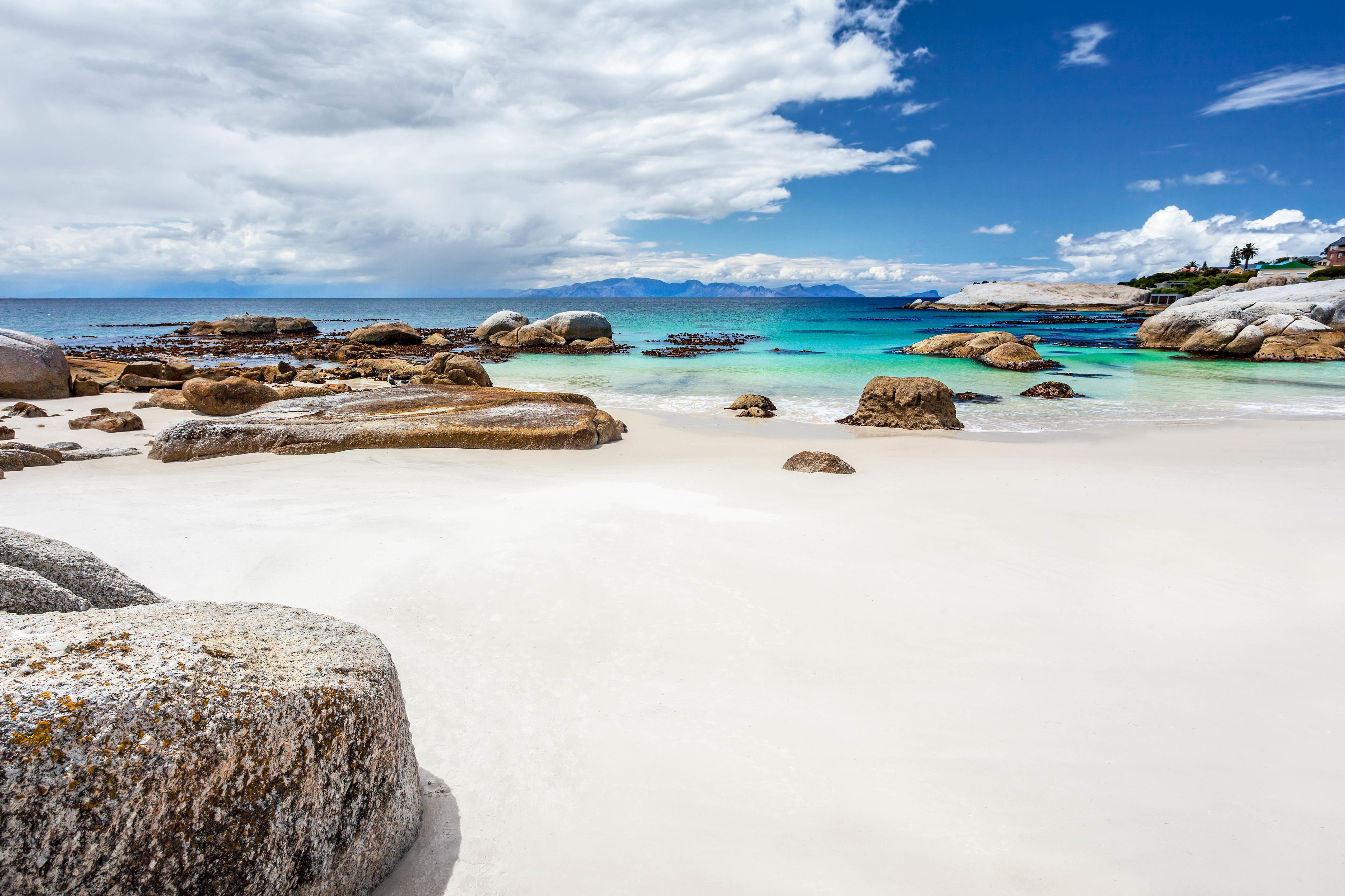 Cape Town: Boulders Beach Penguin Colony Half-Day Tour