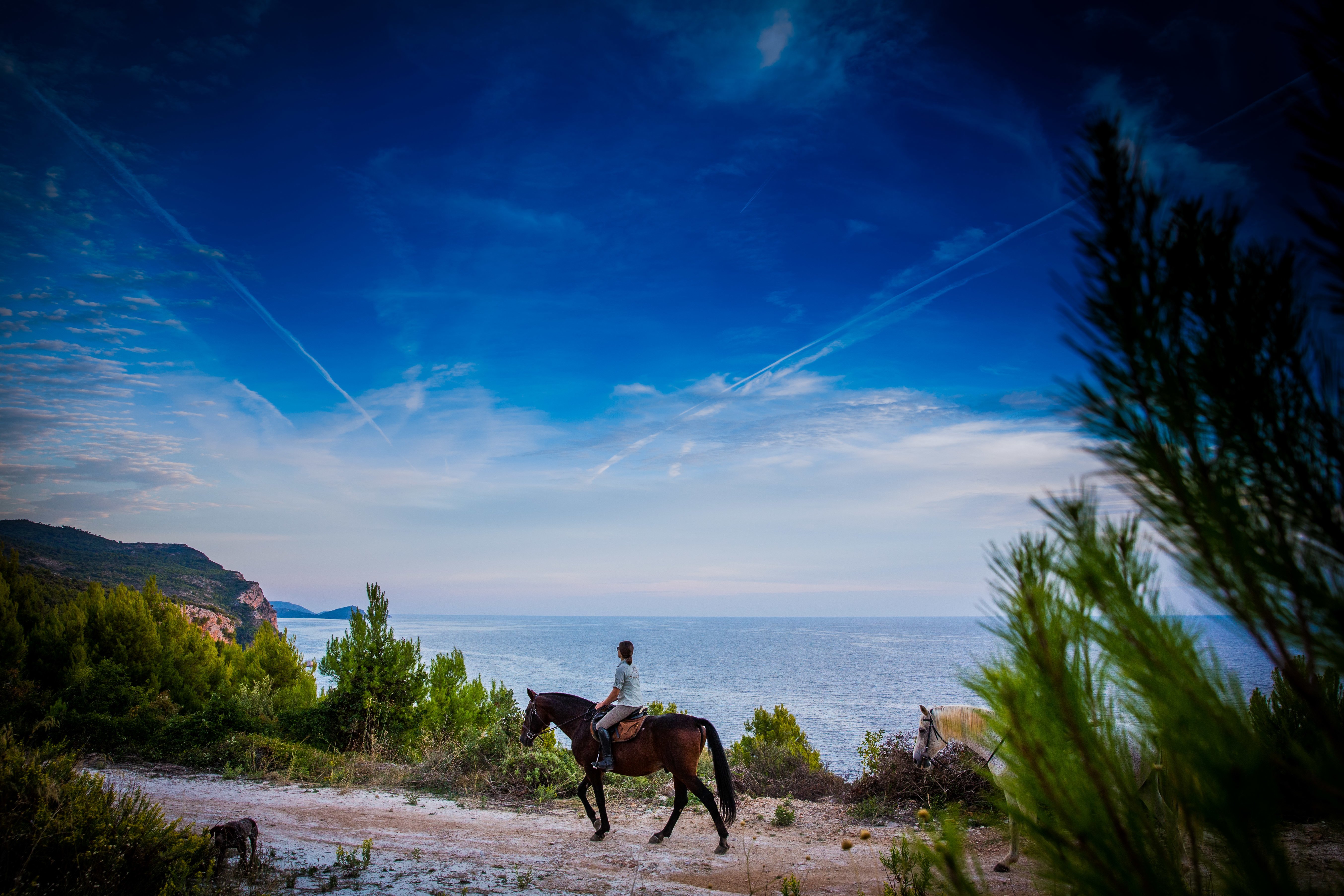 Konavle Horseback Riding Adventure with Pickup