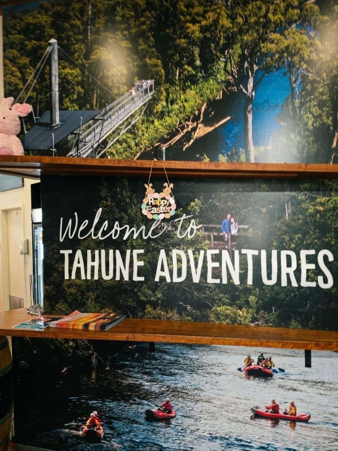 Tahune Airwalk & Hastings Caves Full-Day Adventure