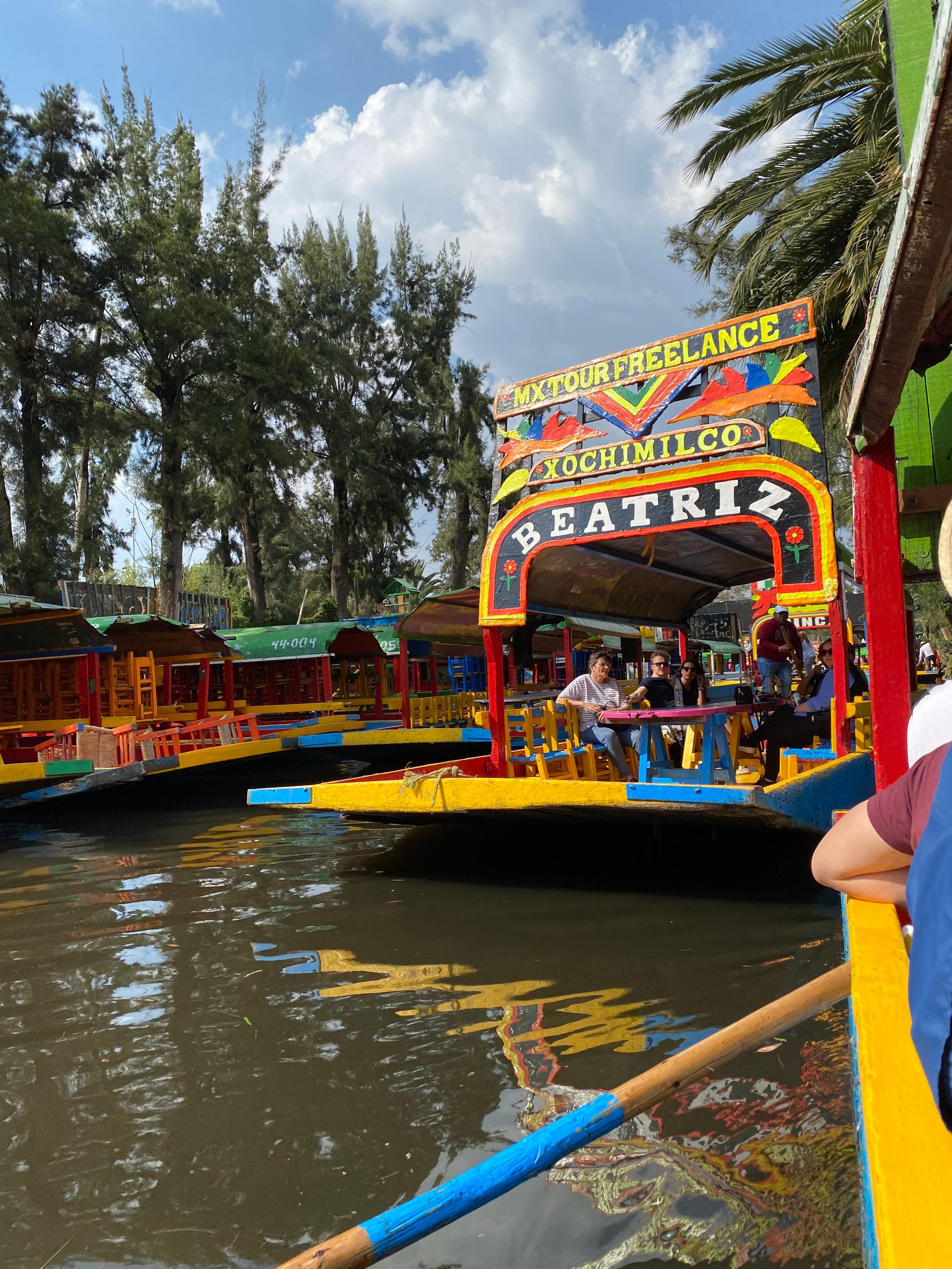 Mexico City Cultural Immersion: Xochimilco, Coyoacán & Frida Kahlo