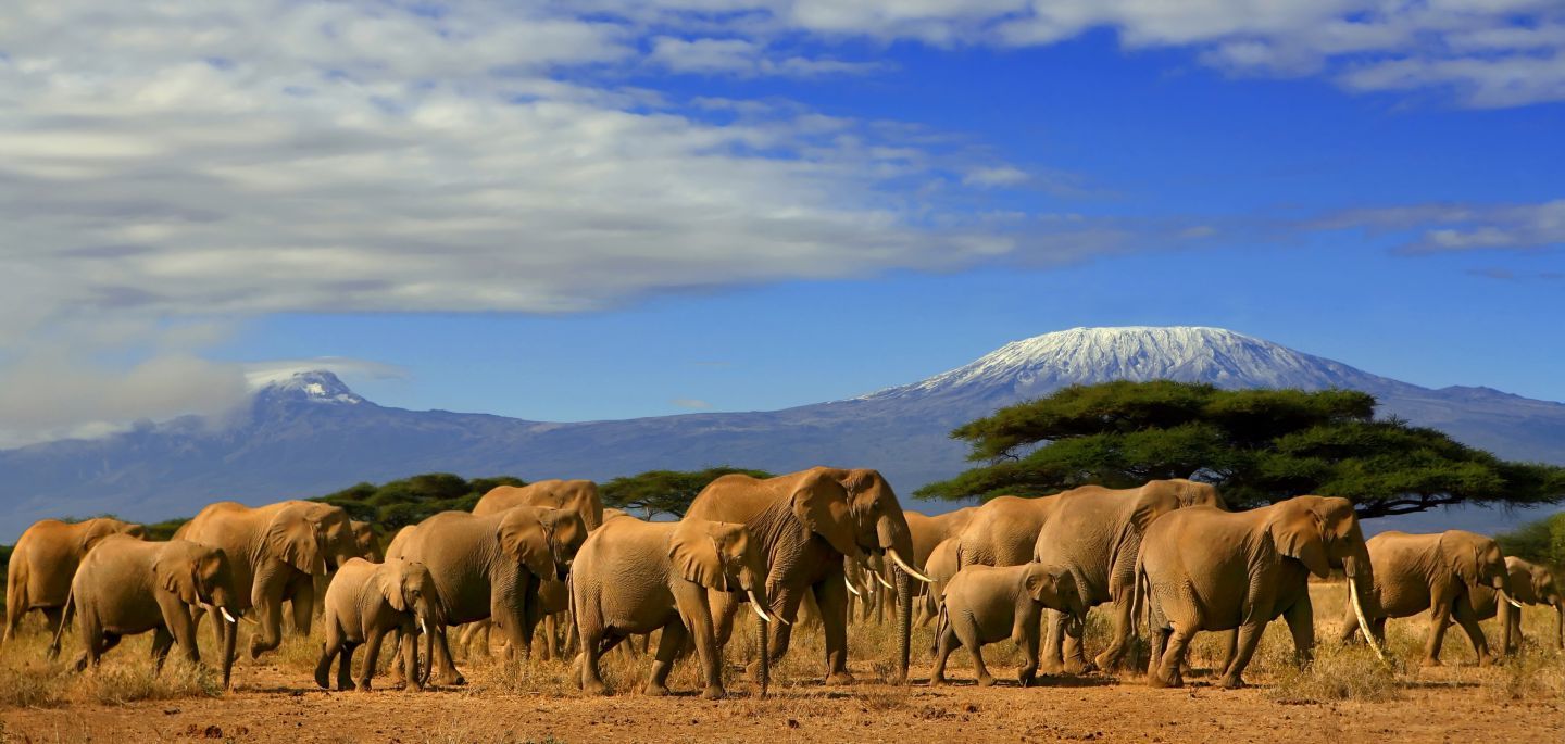 Amboseli National Park 3-Day Safari from Nairobi or Mombasa