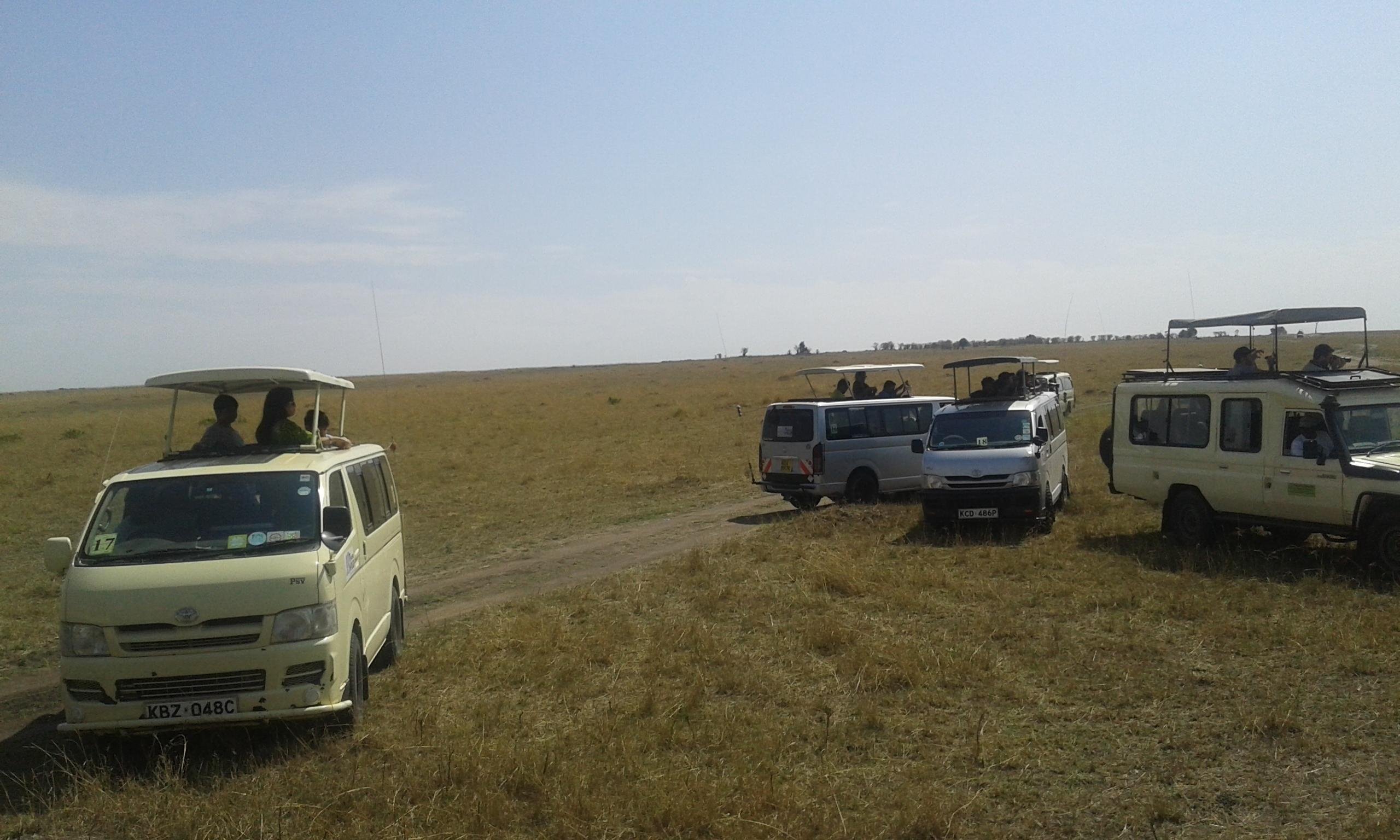 3-Day Maasai Mara Group Safari from Nairobi