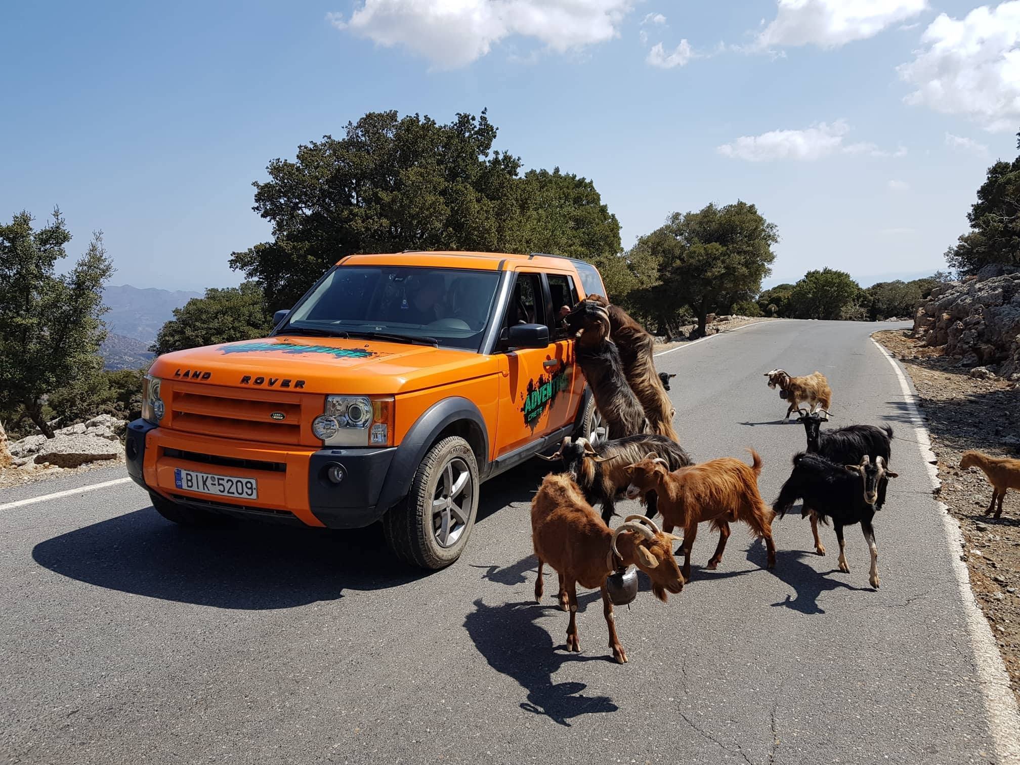 Crete South Coast Safari: Sarakina Gorge, Forests & Lybyan Sea