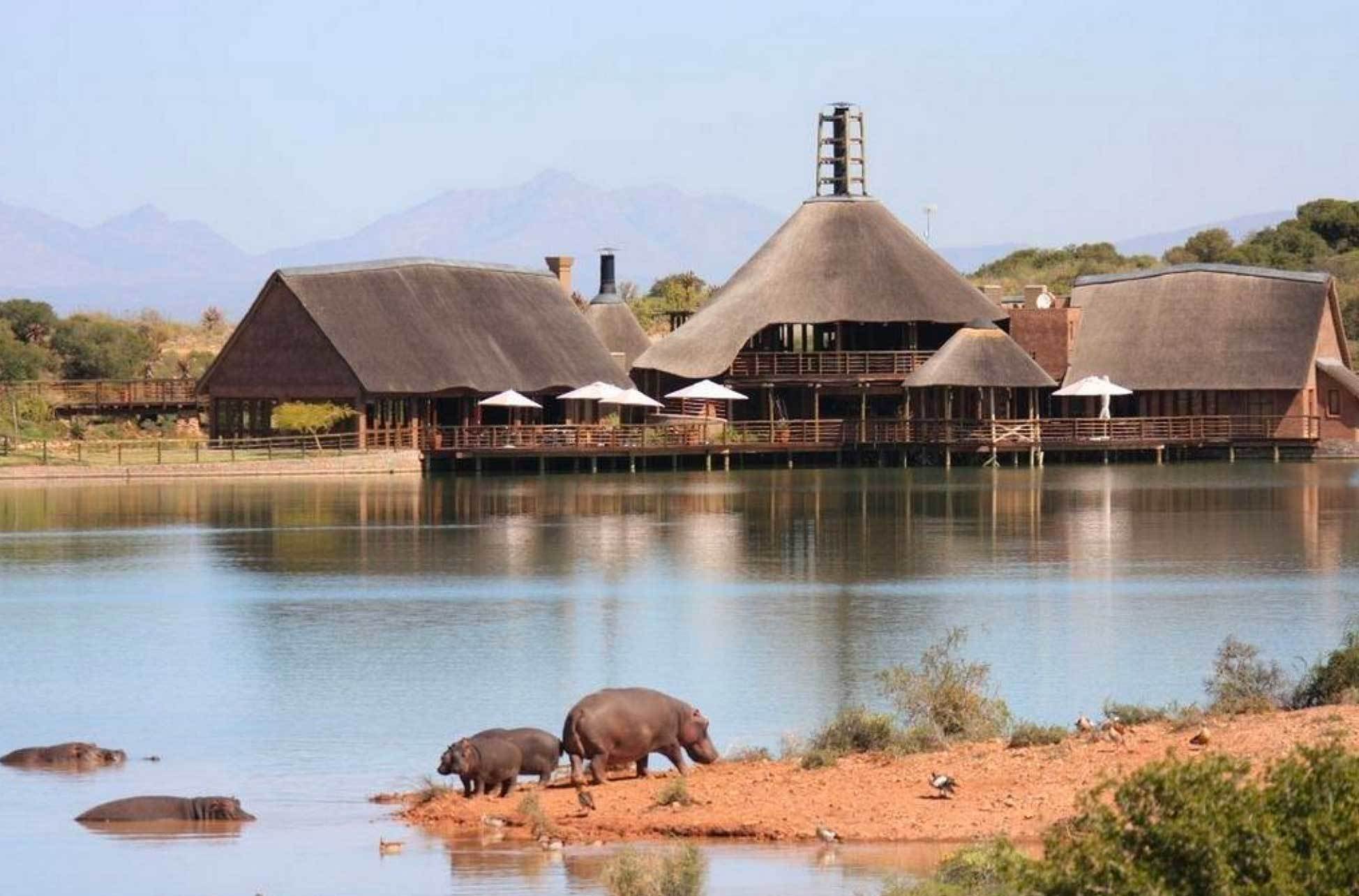 Cape Town: 2-Day Garden Route Safari & Luxury Glamping Experience