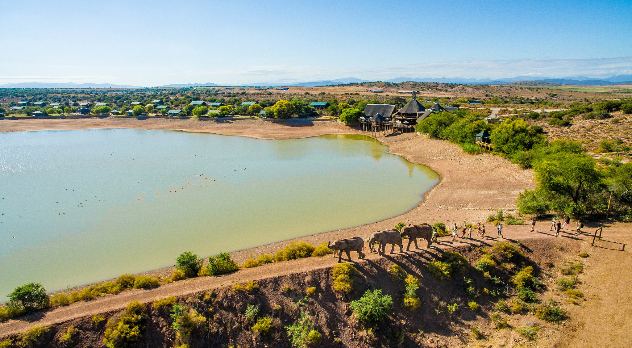 Cape Town: 2-Day Garden Route Safari & Luxury Glamping Experience