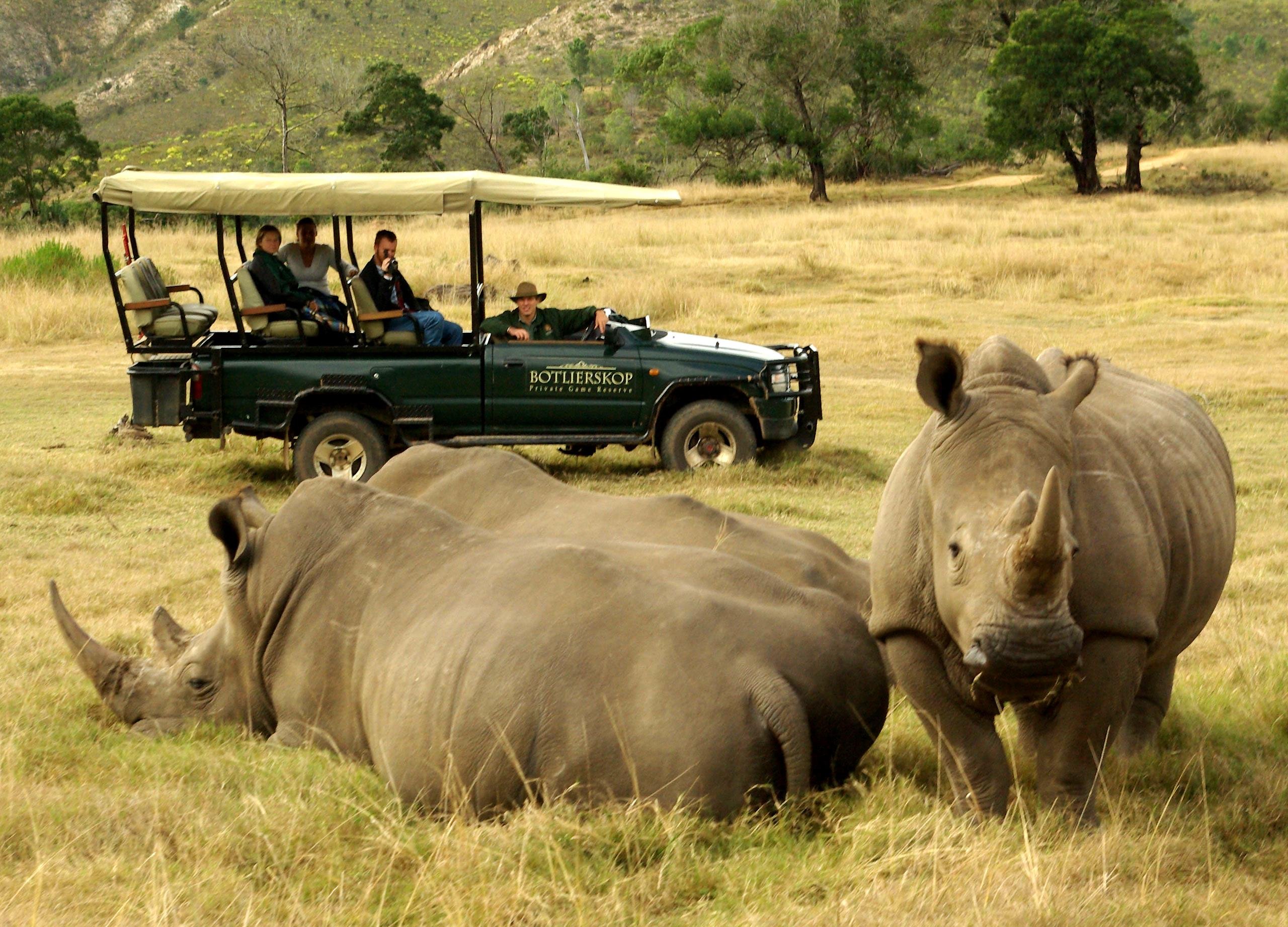 Cape Town: 2-Day Garden Route Safari & Luxury Glamping Experience