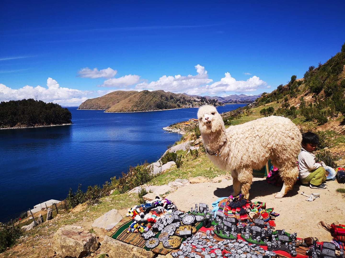 Copacabana & Sun Island Day Trip from Puno