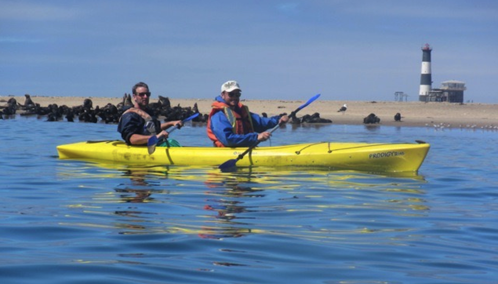 Pelican Point Seal Kayaking Experience