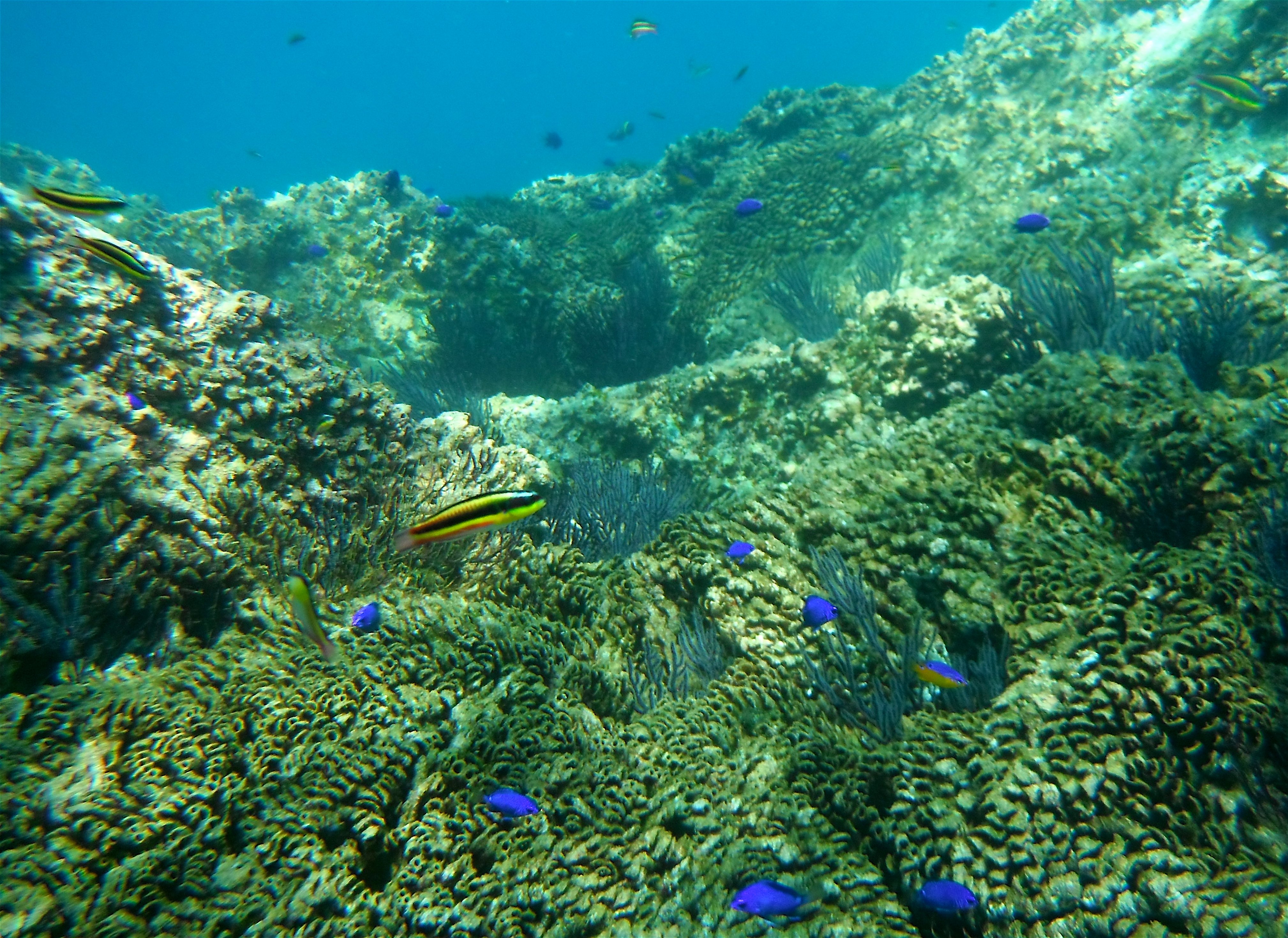 Los Cabos Kayak & Snorkel: The Arch and Lover's Beach