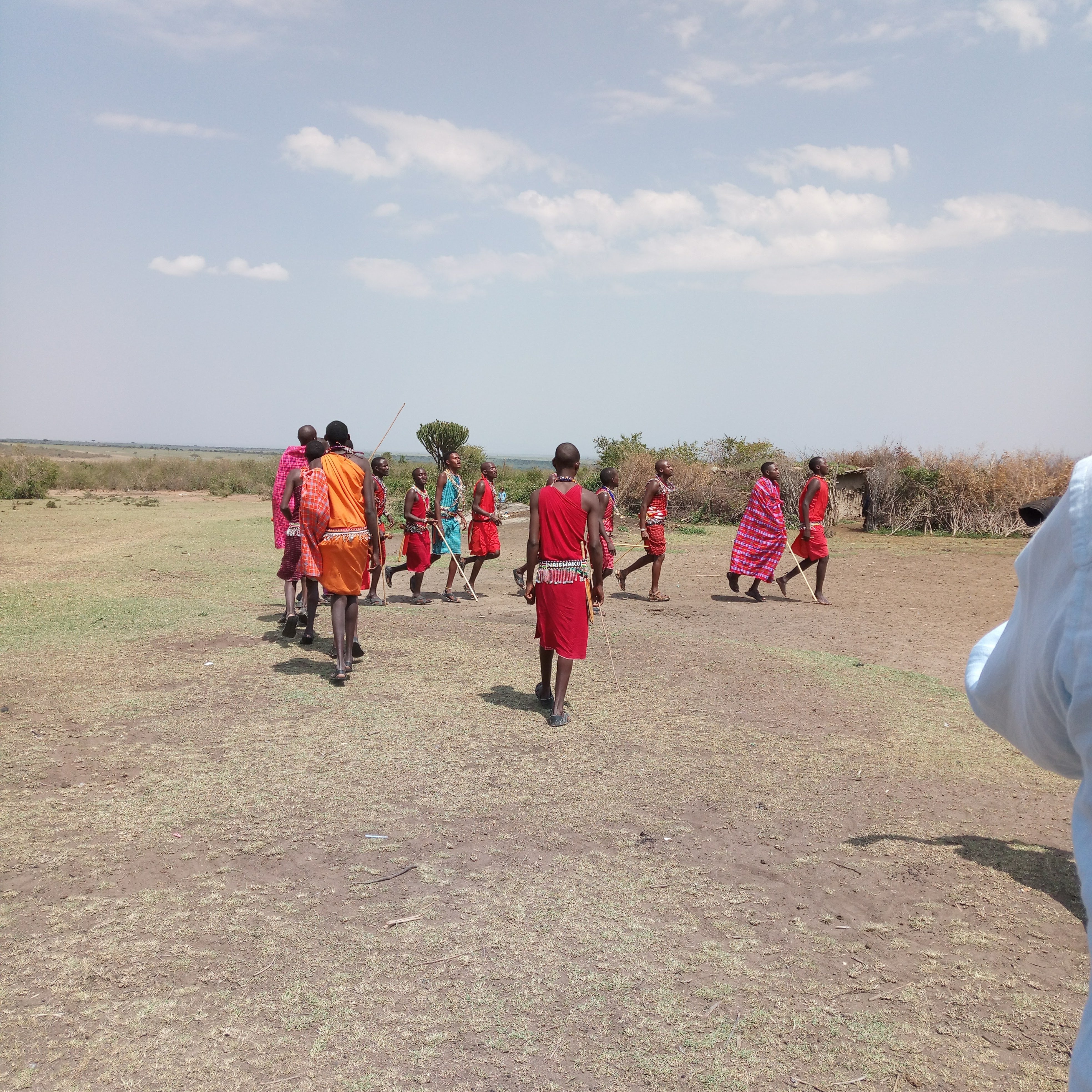 3-Day Maasai Mara Group Safari from Nairobi