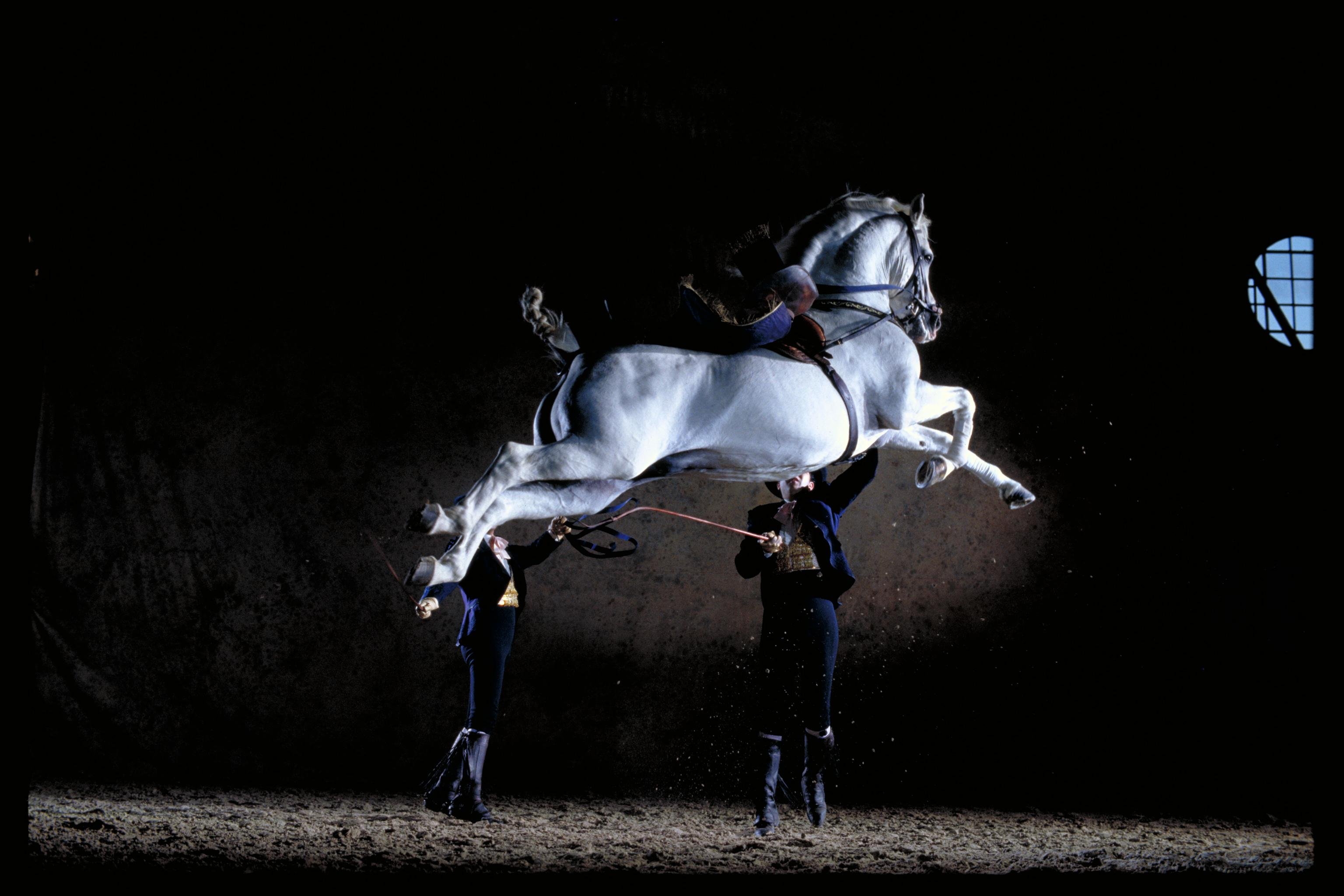 Jerez: Andalusian Horse Ballet & Equestrian Museums