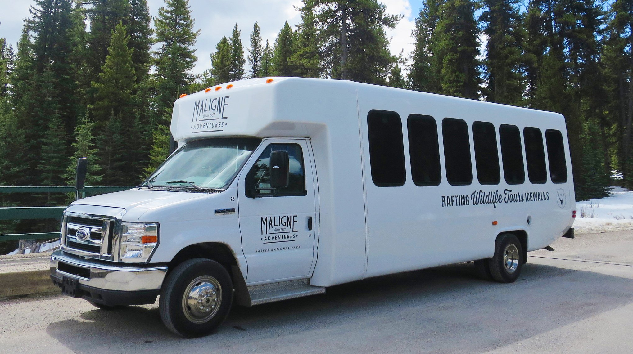 Jasper: Wildlife and Sightseeing Tour with Lakeshore Hike