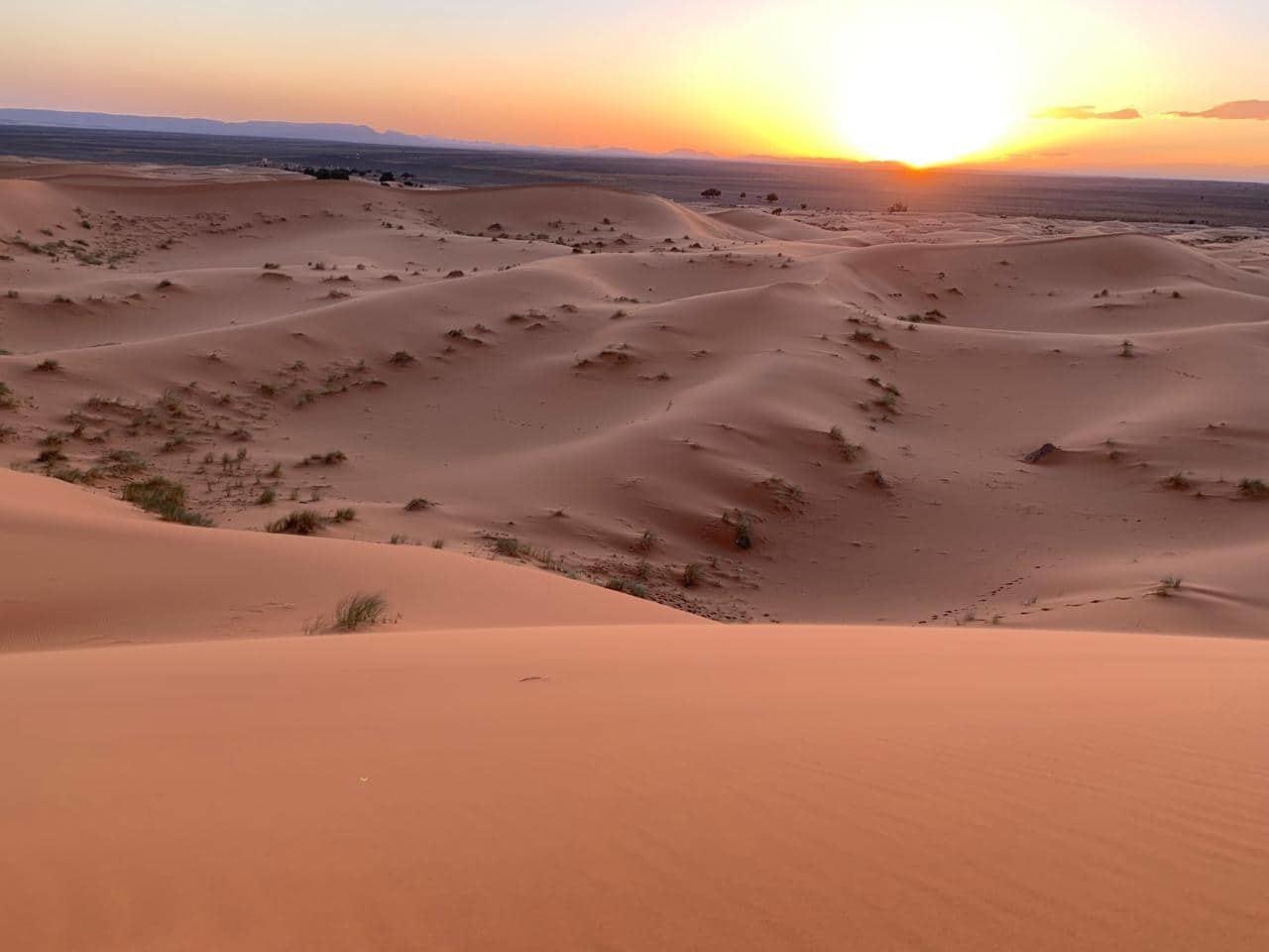 Erg Chebbi Overnight Camel Trek from Merzouga
