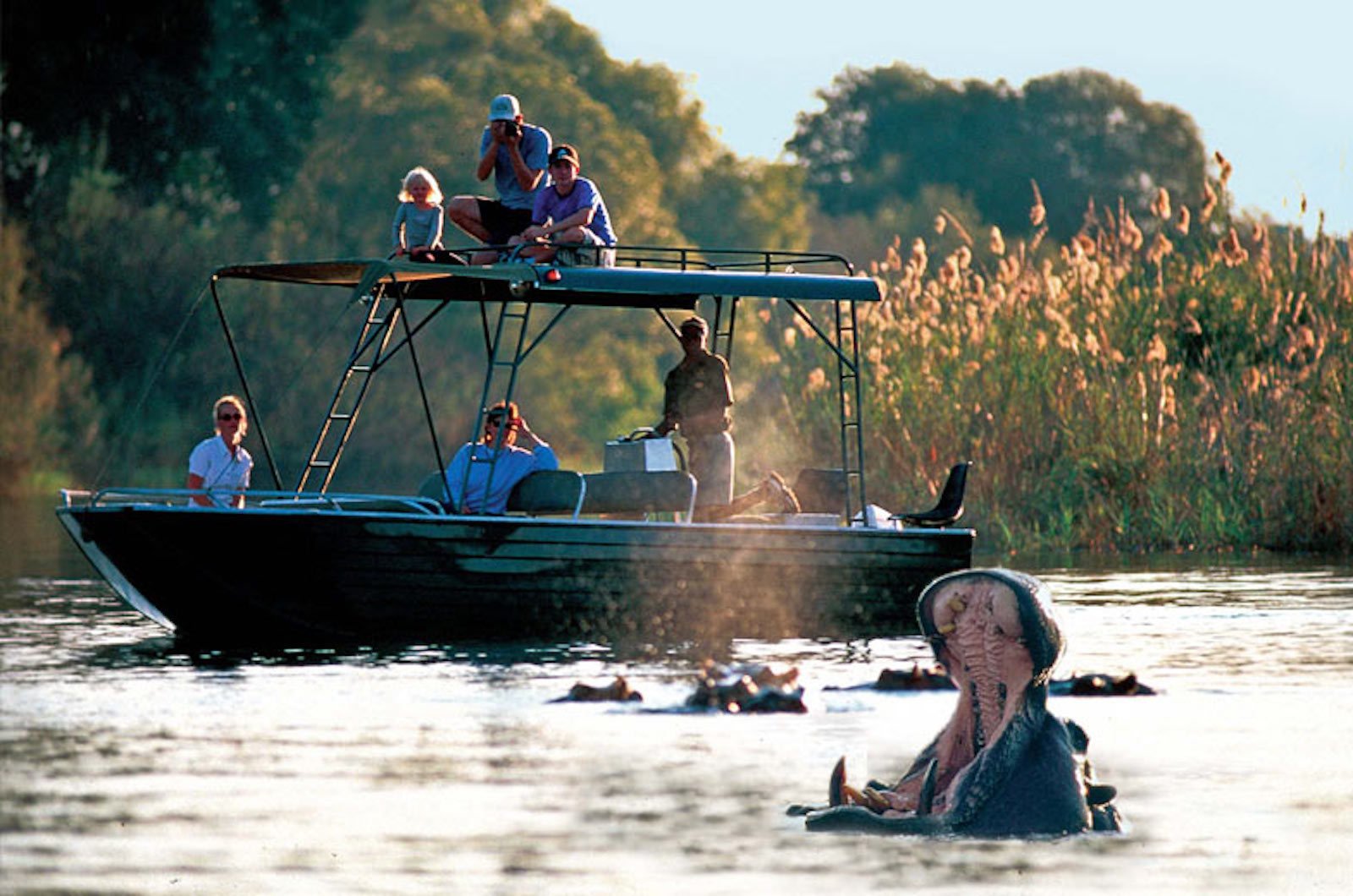 Upper Zambezi River Safari by Propeller-Free Boat