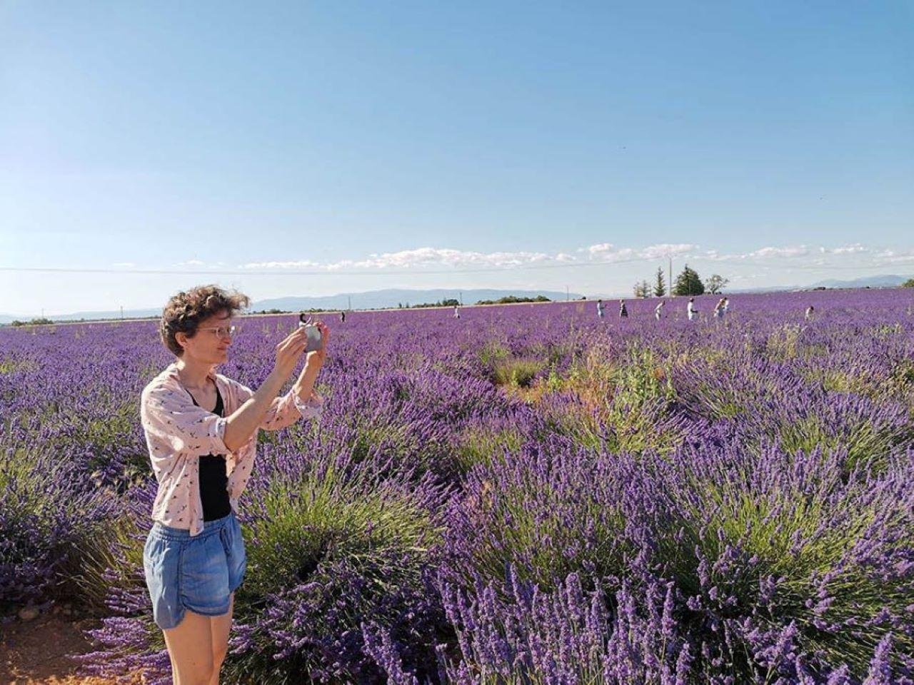 Valensole lavender fields in Provence — guided lavender tour photo 2