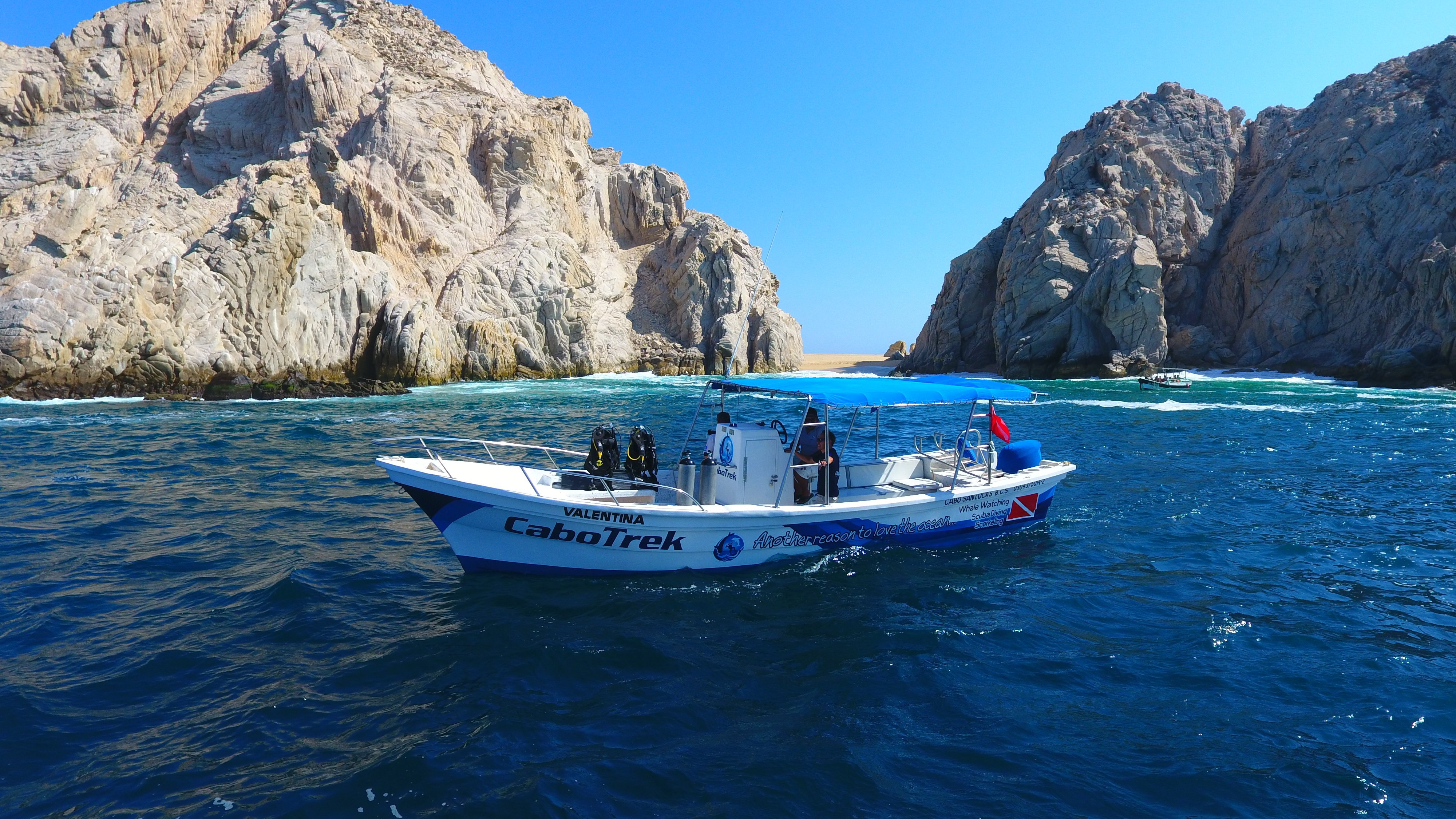 Cabo San Lucas Humpback Whale Watching Tour
