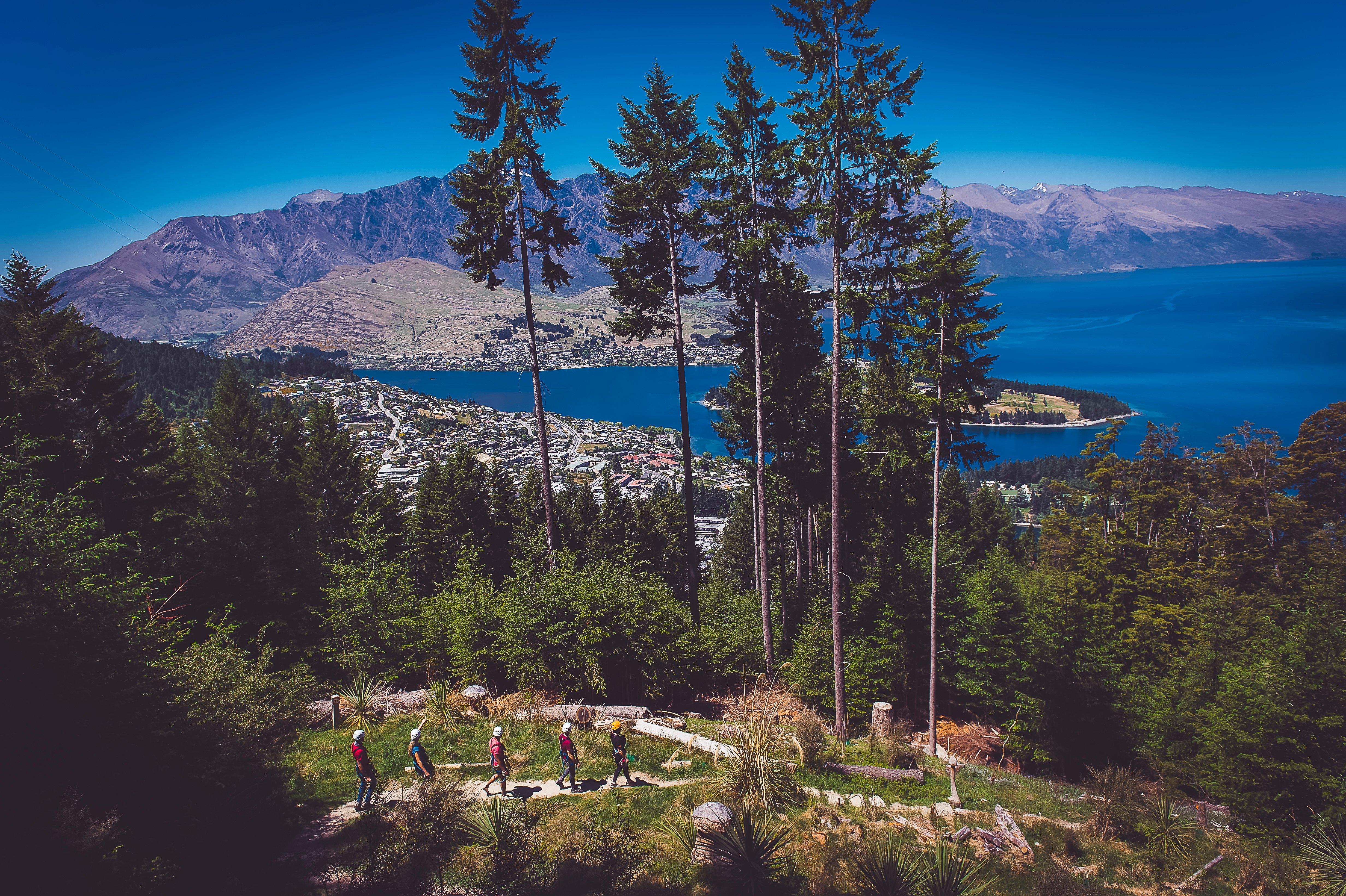Queenstown zipline tour on Bob's Peak — image 8
