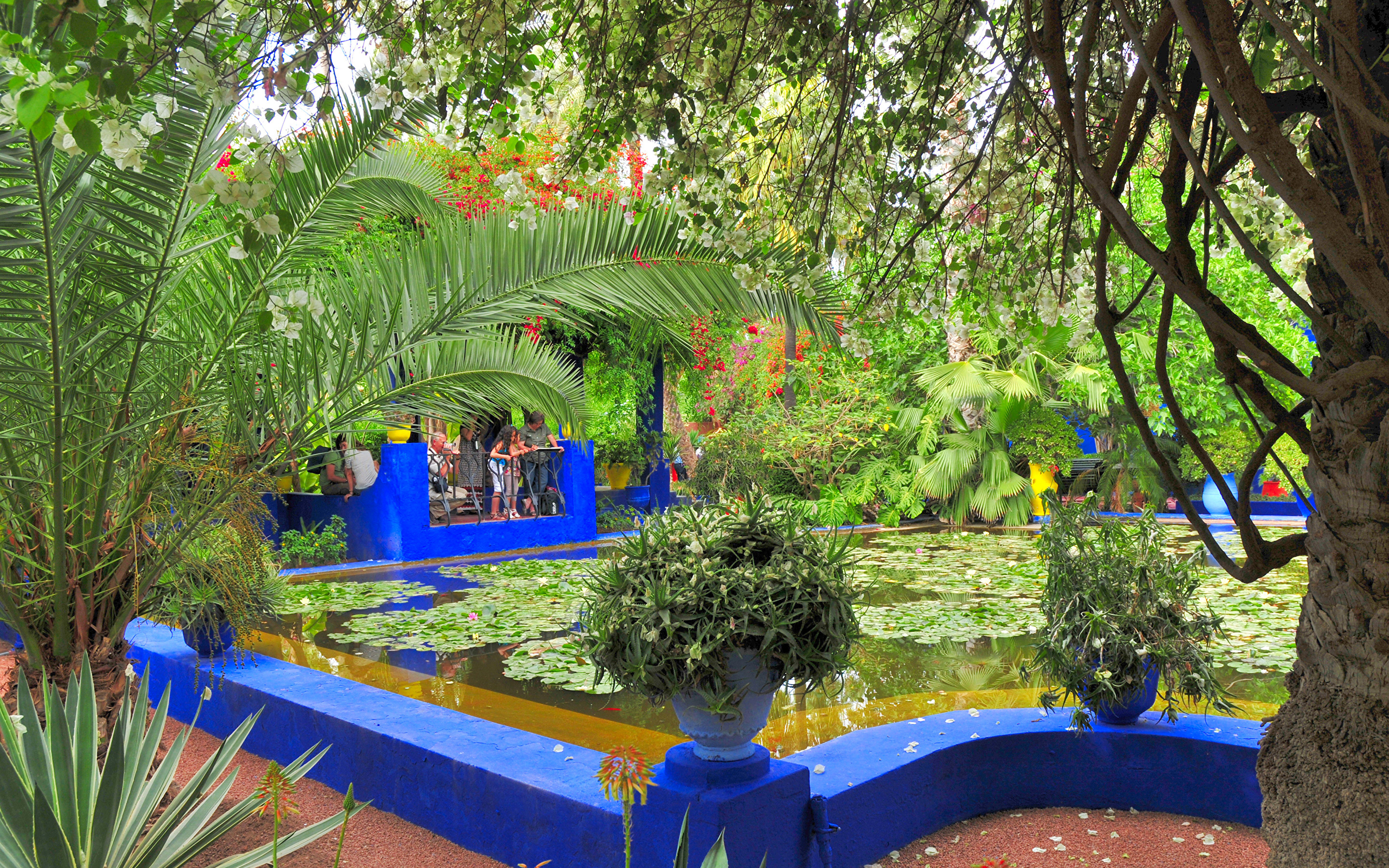 Full-Day Marrakech Excursion from Agadir