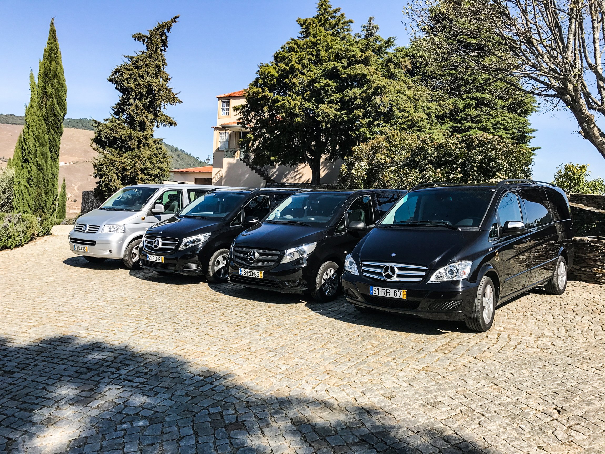 Douro Valley Day Trip: Boat Cruise, Wine Tasting & Traditional Lunch from Porto