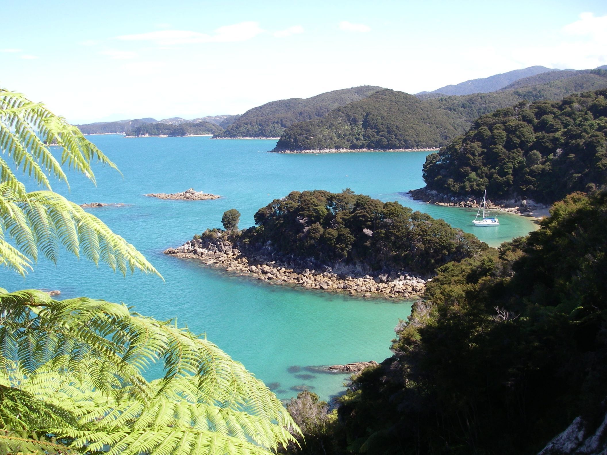 Abel Tasman National Park: Sailing and Self-Guided Walk