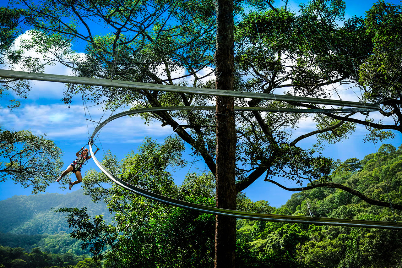 Chiang Mai Jungle Zipline Roller Coaster Adventure