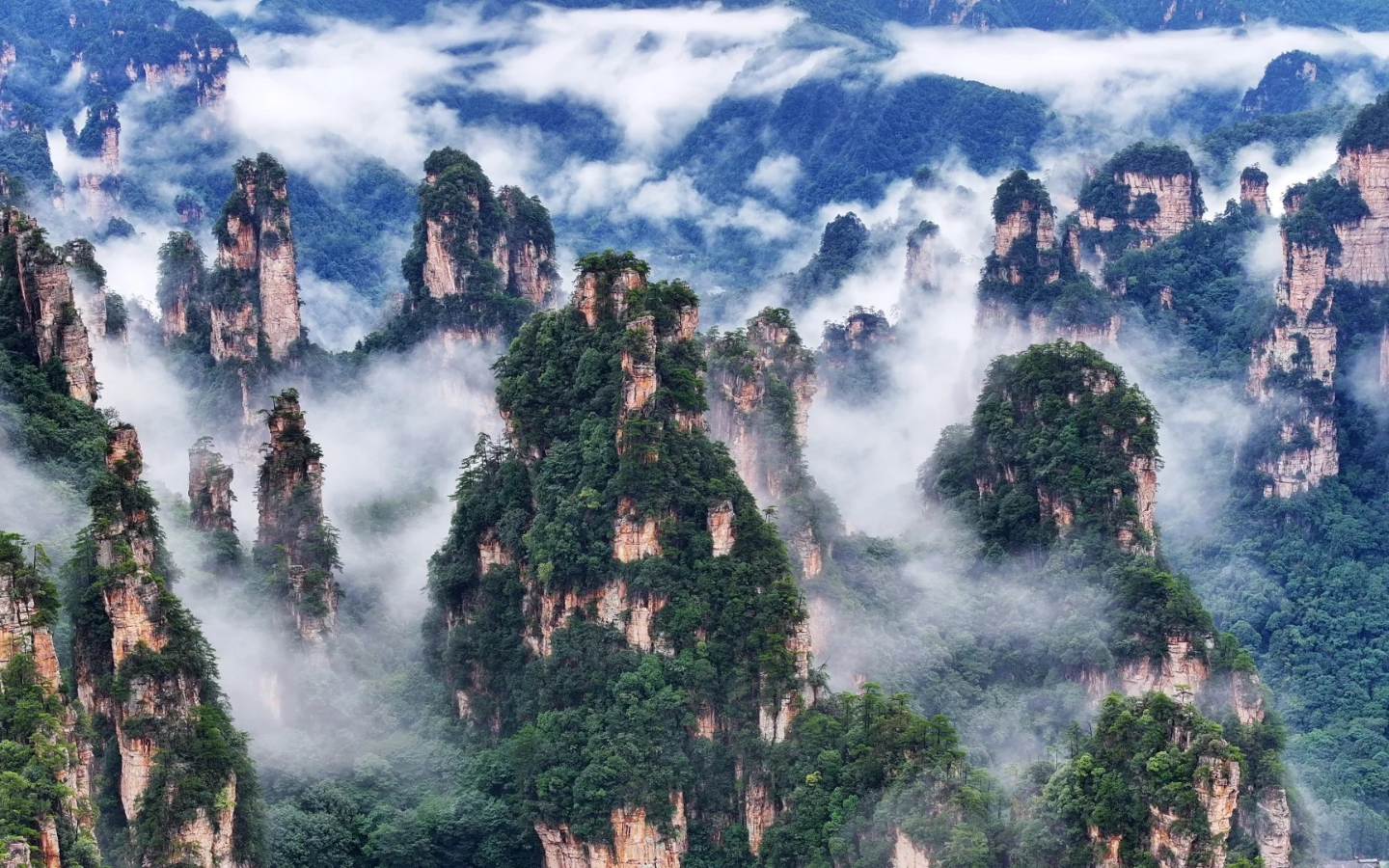 Zhangjiajie 3-Day Private Avatar Mountains & Tianmen Tour