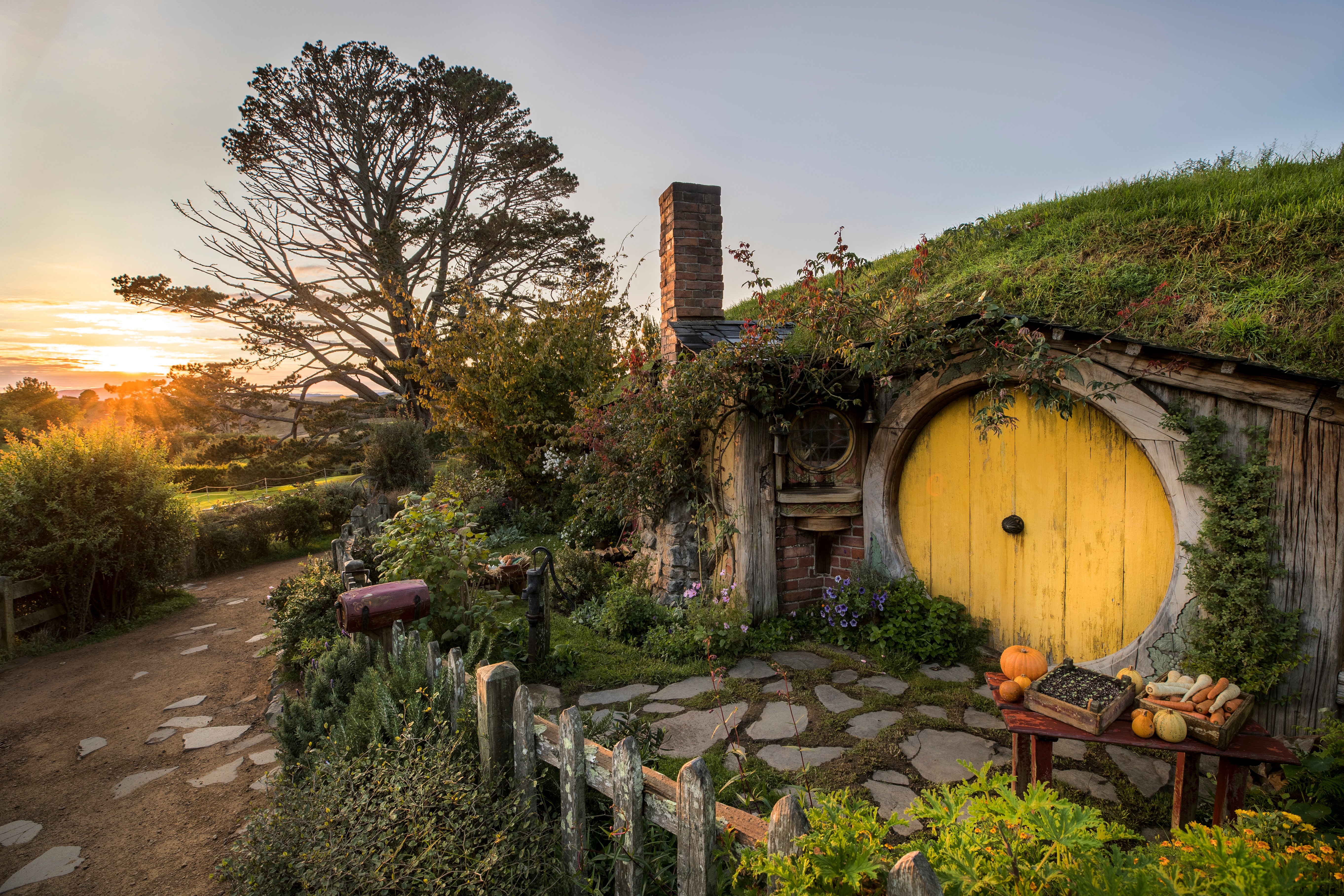 Auckland to Waitomo Caves & Hobbiton Full-Day Tour