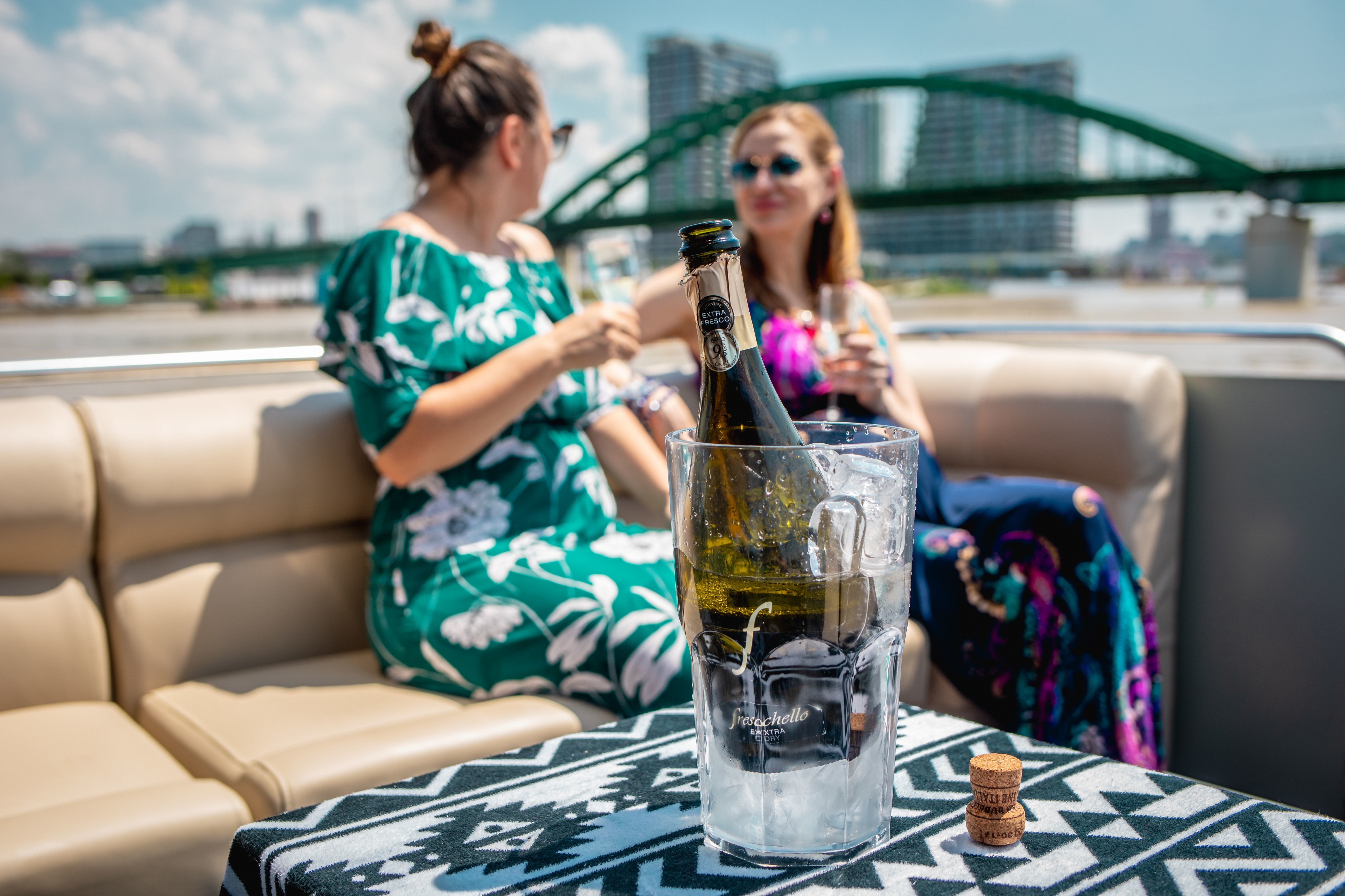 Private Belgrade River Cruise