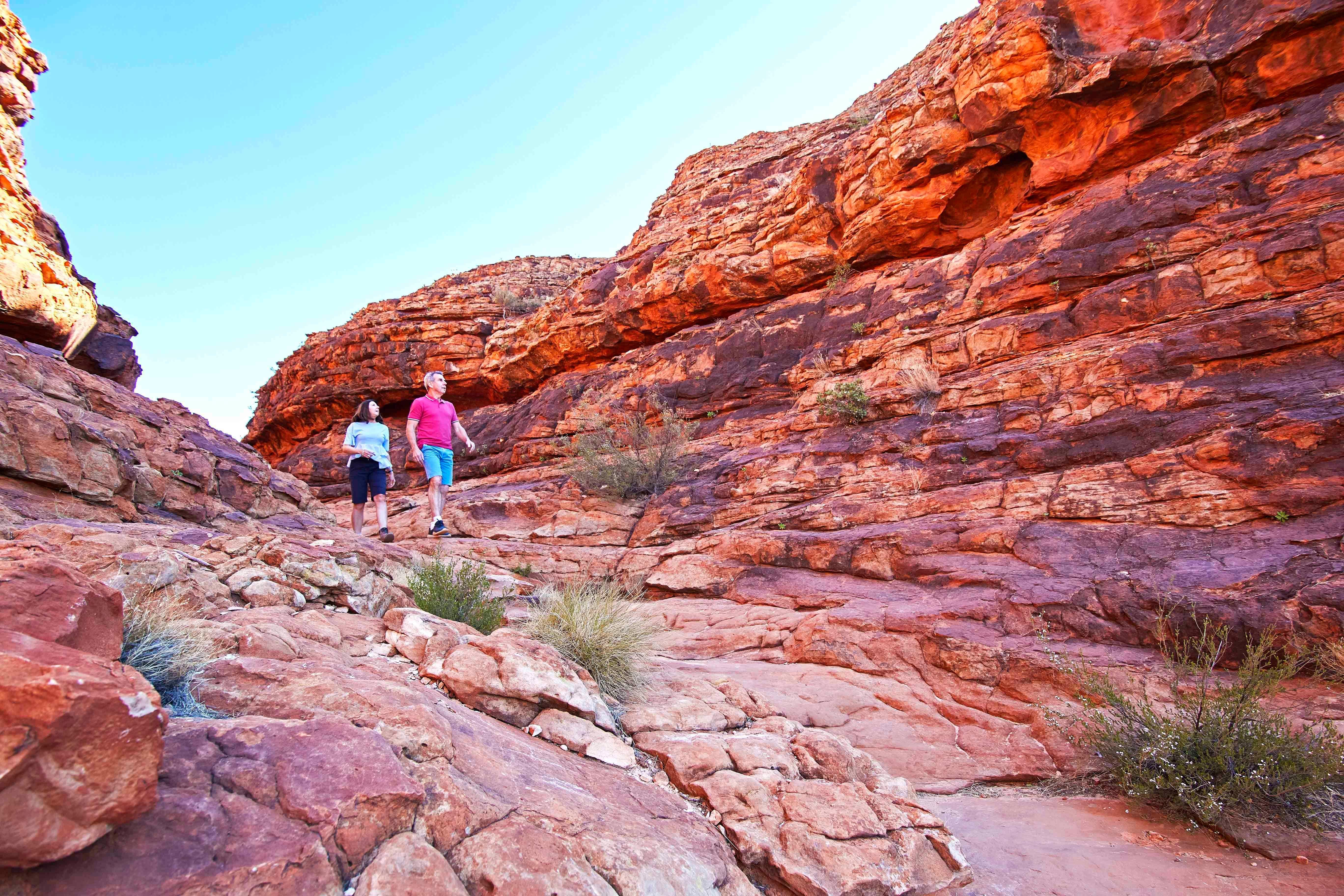 Kings Canyon Full-Day Adventure from Ayers Rock Resort