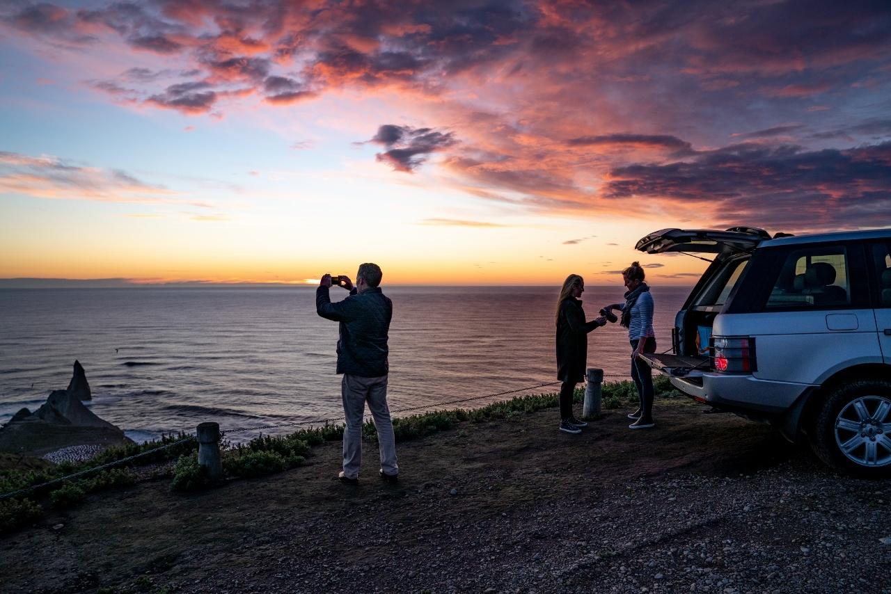 Sunrise Gannet Colony Tour at Cape Kidnappers