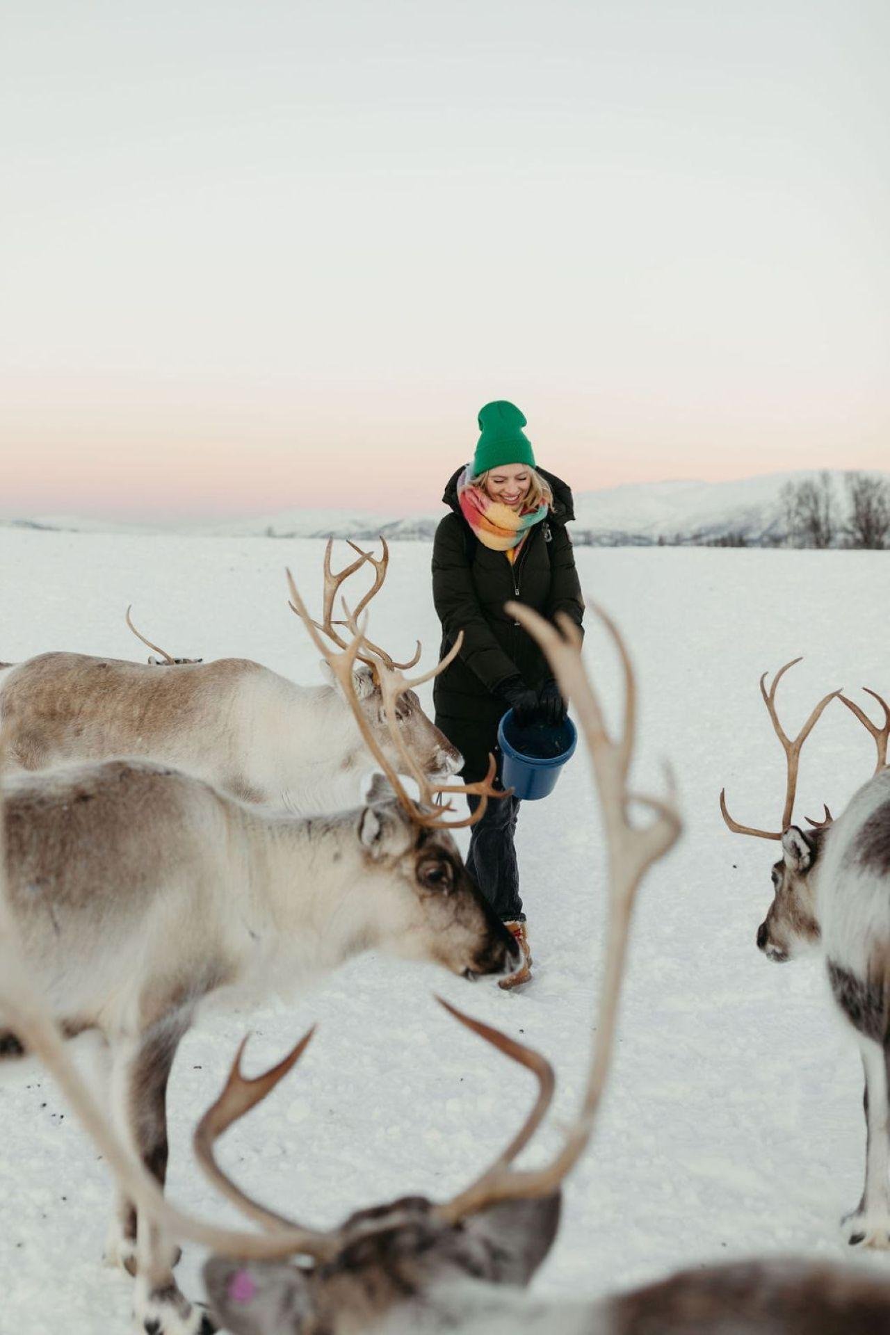 Sami Reindeer Camp Experience & Cultural Lunch from Tromsø