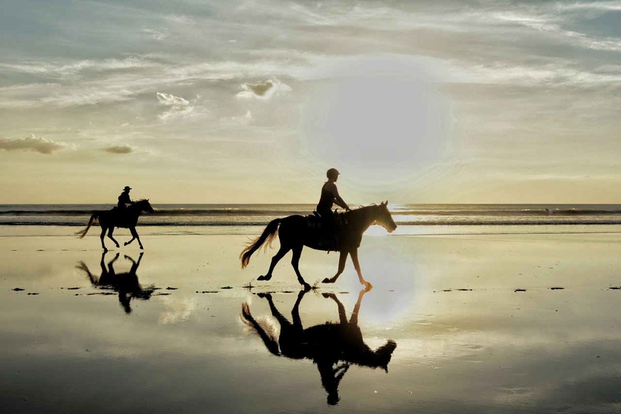 Agadir Sunset Equestrian Adventure & Luxury Spa Retreat