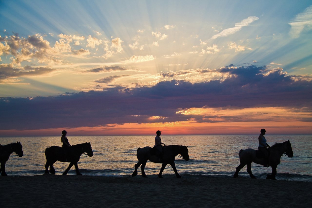 Agadir Sunset Equestrian Adventure & Luxury Spa Retreat