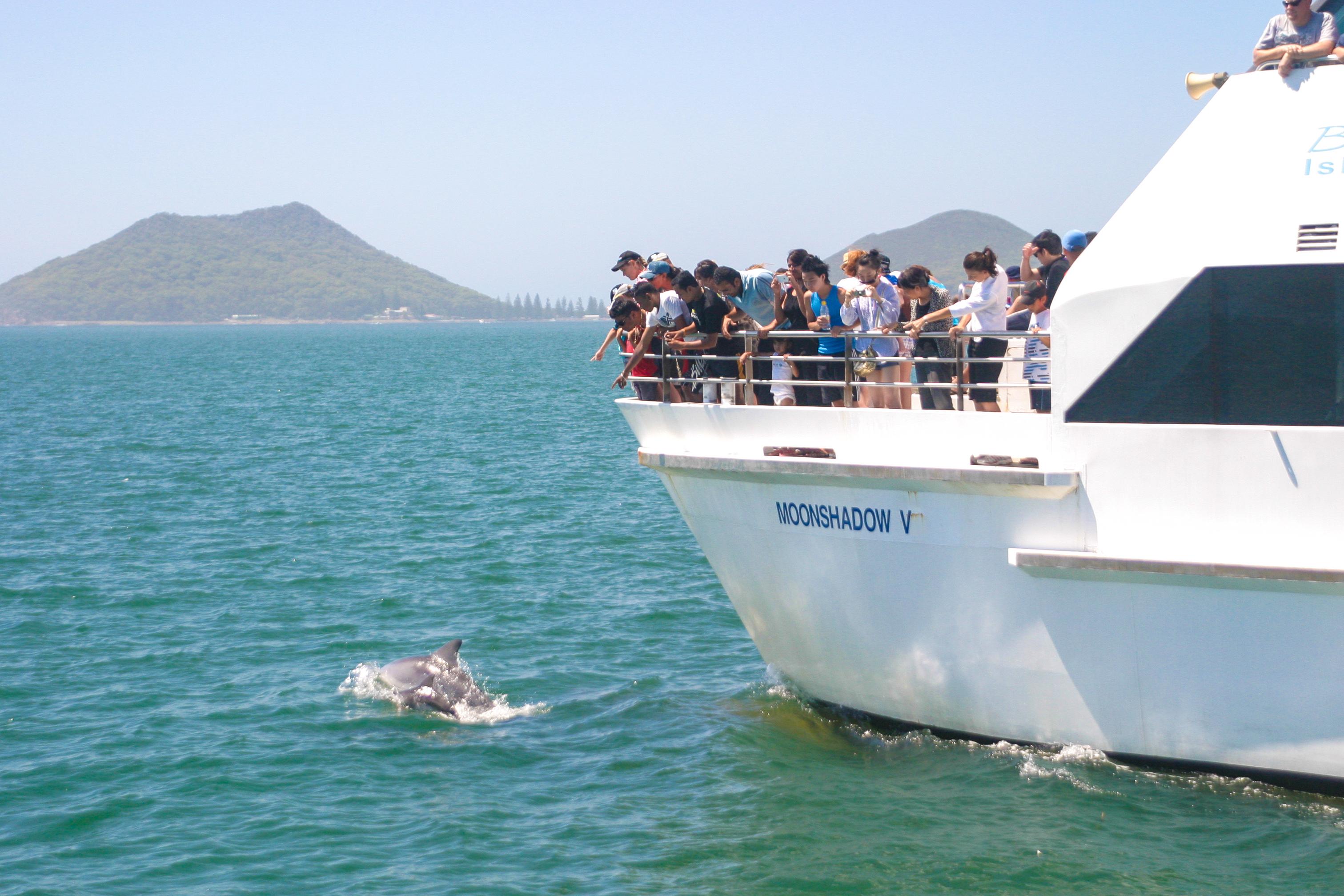 Port Stephens: Dolphin Cruise, Koalas & Sandboarding